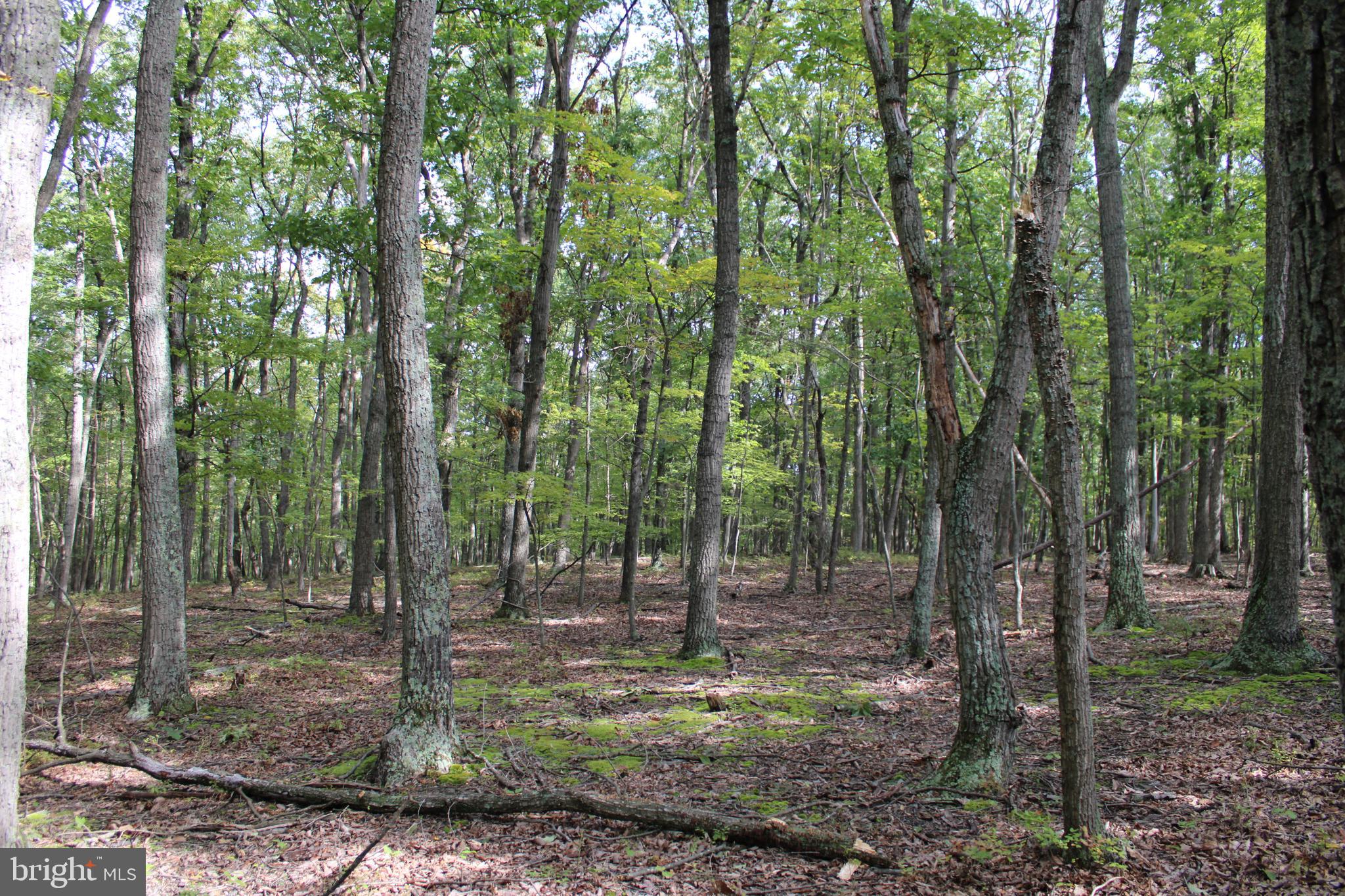 BLUFFS ON THE POTOMAC - Land