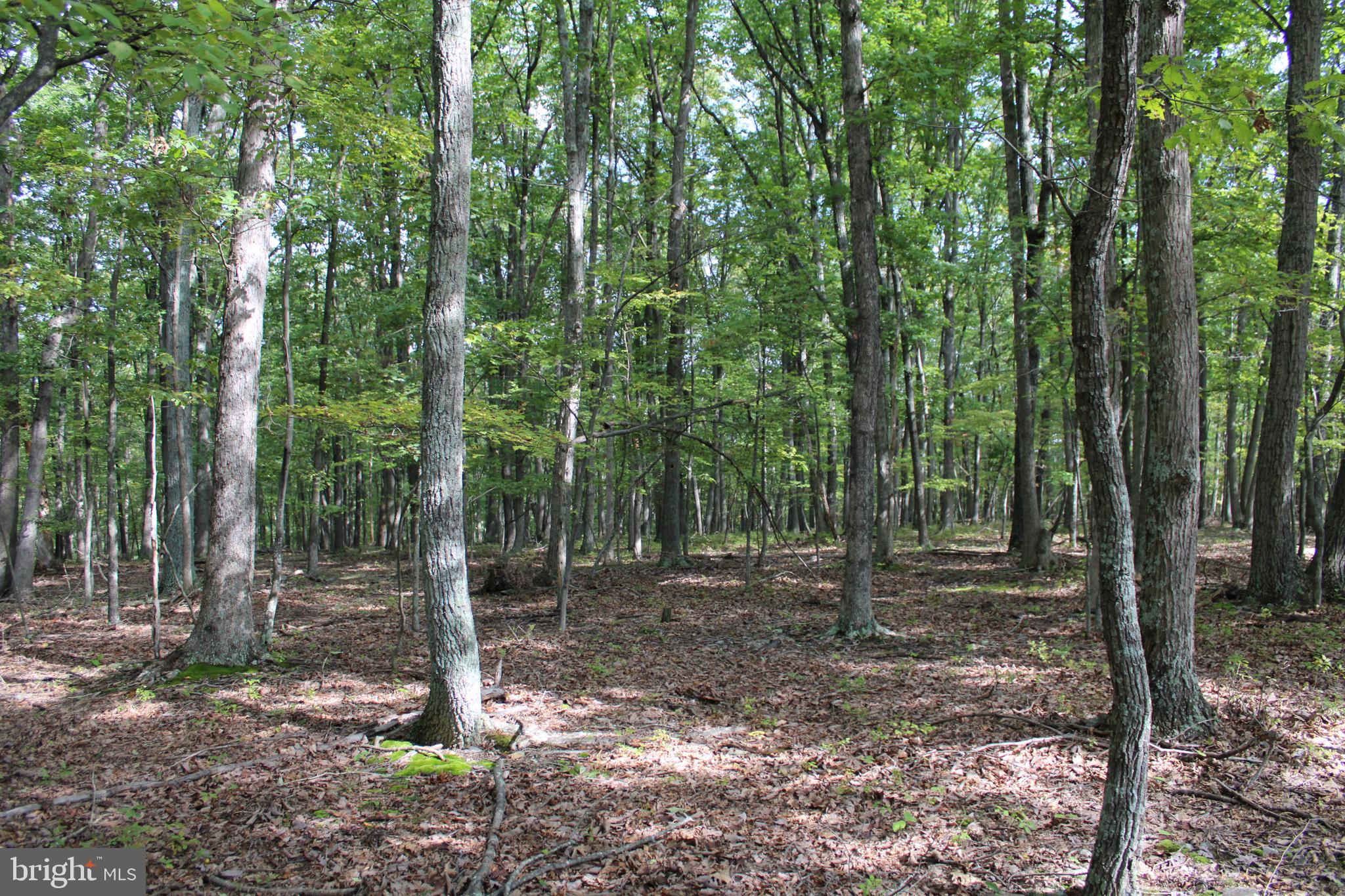 BLUFFS ON THE POTOMAC - Land