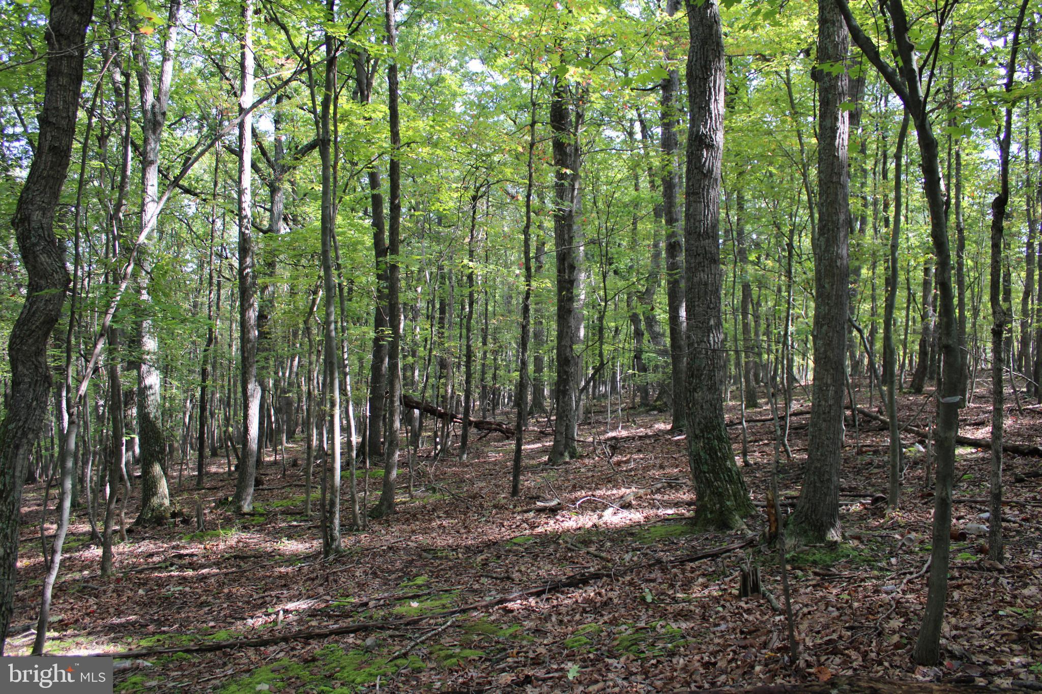 BLUFFS ON THE POTOMAC - Land