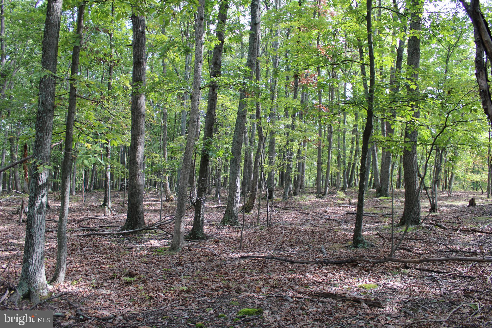 BLUFFS ON THE POTOMAC - Land
