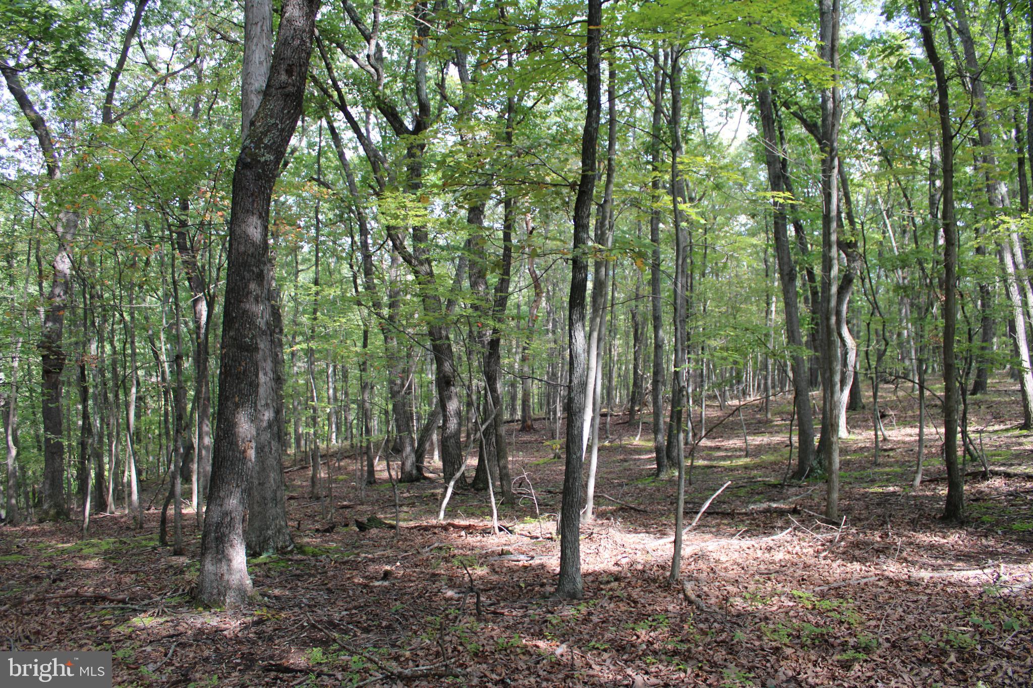 BLUFFS ON THE POTOMAC - Land