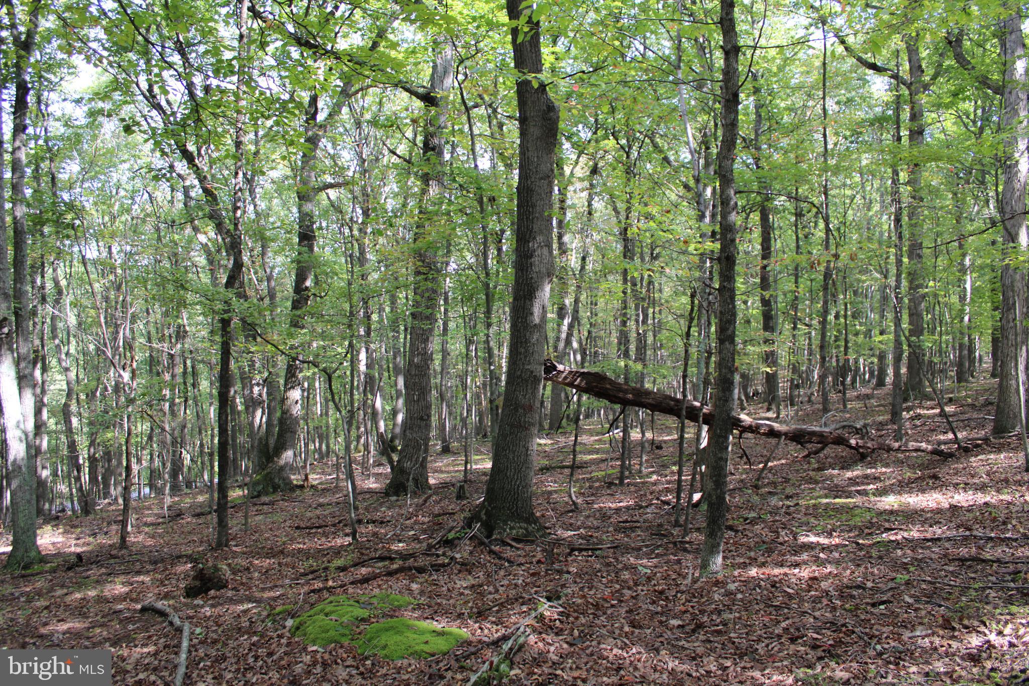 BLUFFS ON THE POTOMAC - Land