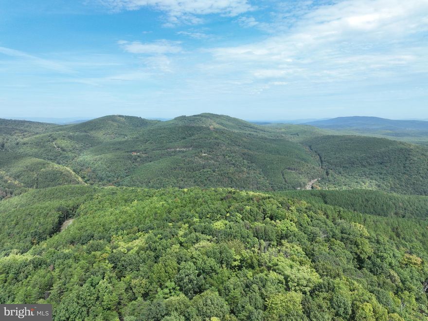 Discover your own piece of heaven nestled on the Bluff that inspired "The Bluffs on The Potomac." This remarkable 20.14-acre property offers an unparalleled opportunity to own a slice of West Virginia overlooking the majestic Potomac River Valley. Multiple beautiful, elevated and secluded building sites throughout this premium parcel. Wonderful mix of towering hardwoods and dense pines offering great color 365 days of the year. Wildlife in every direction with an overabundance of the Big 3, Deer, Turkey and Bear. Exclusive private subdivision access to the South Branch of the Potomac River affording you a great place to enjoy free time with family and friends. An easy quick escape, just a mere 2 hours from most any Washington DC Suburb. Follow your compass West to the land of endless possibilities! Adjoining Lot # 132 is also offered for sale giving the potential for over 40+ acres of pure West Virginia gold!