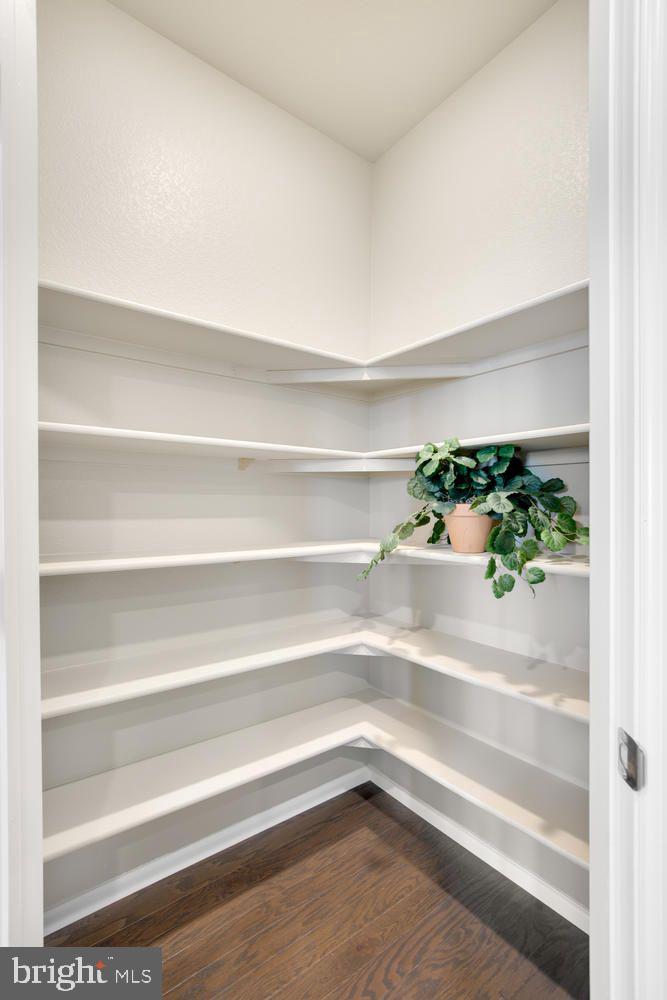 COYOTE RUN - Residential