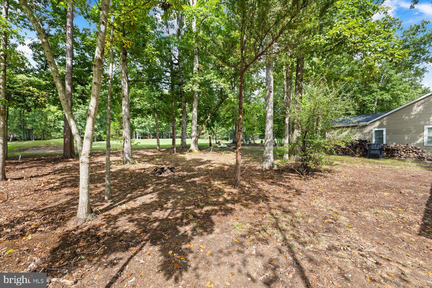 LAKE OF THE WOODS - Residential