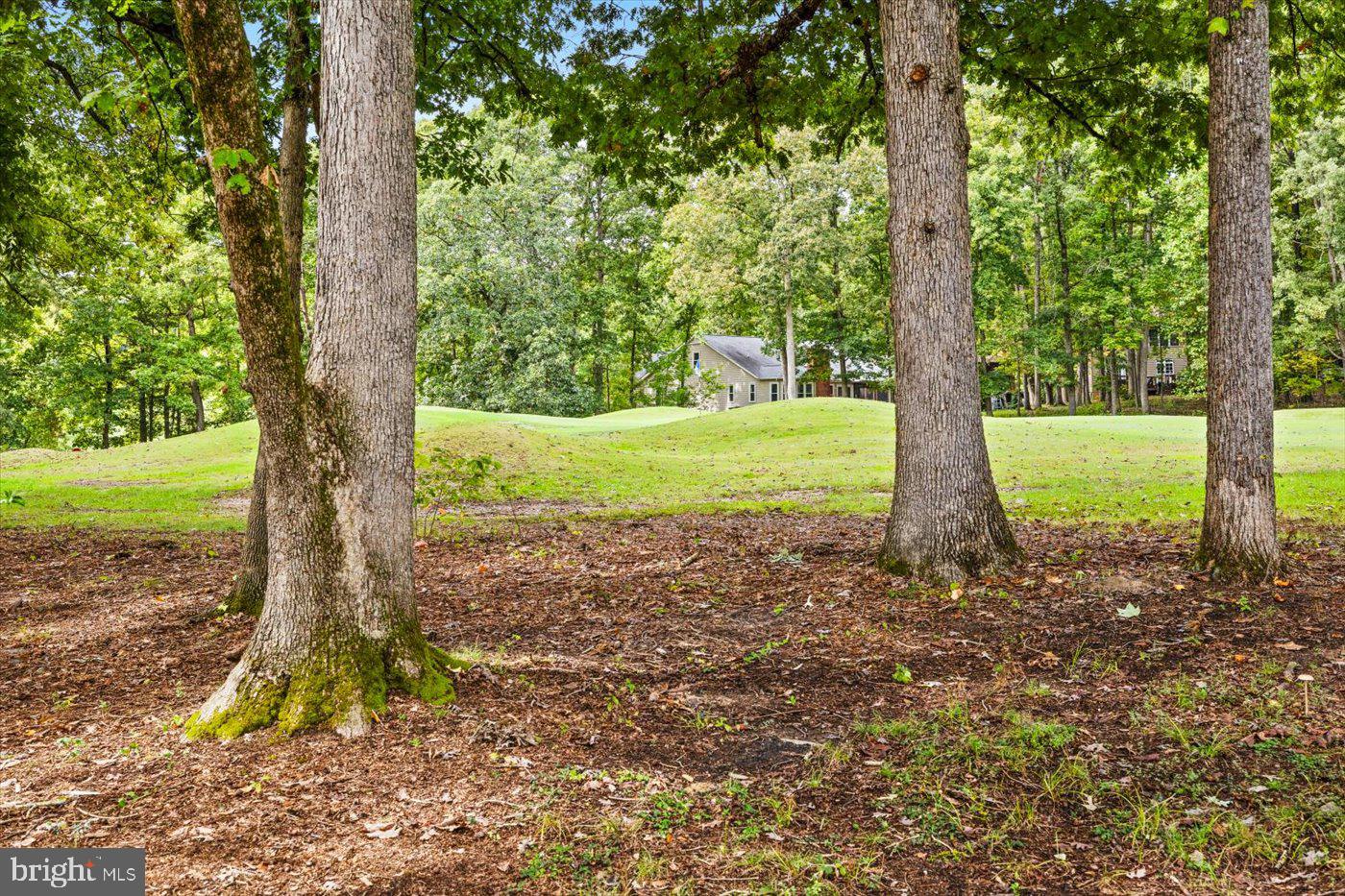 LAKE OF THE WOODS - Residential