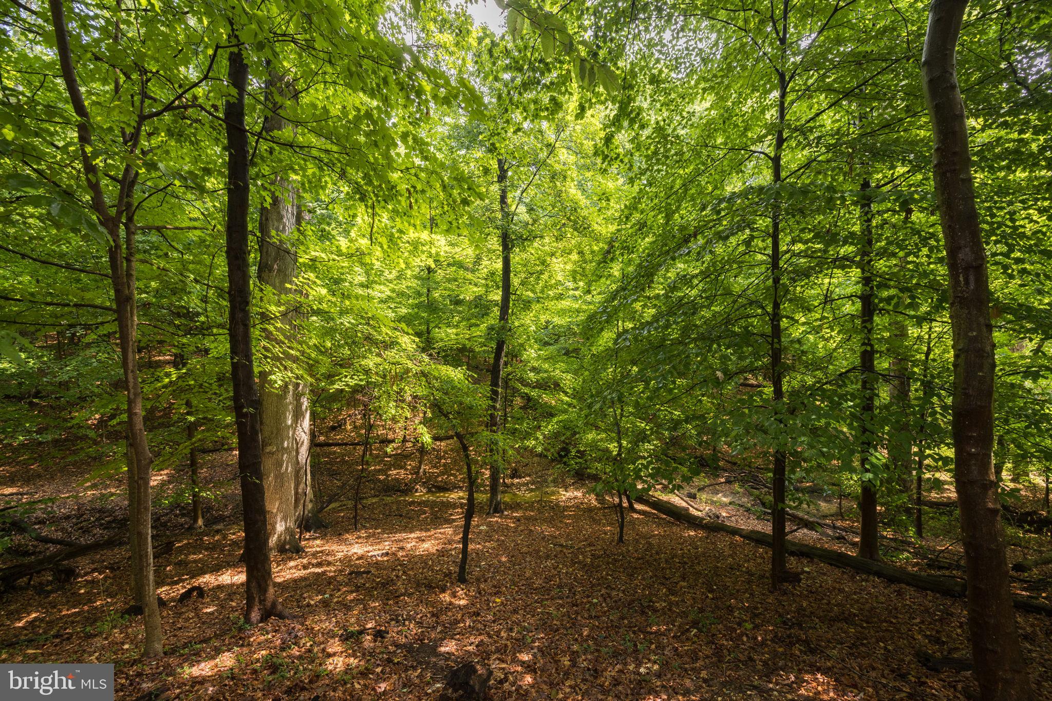 GILBERT'S ADDITION - Residential