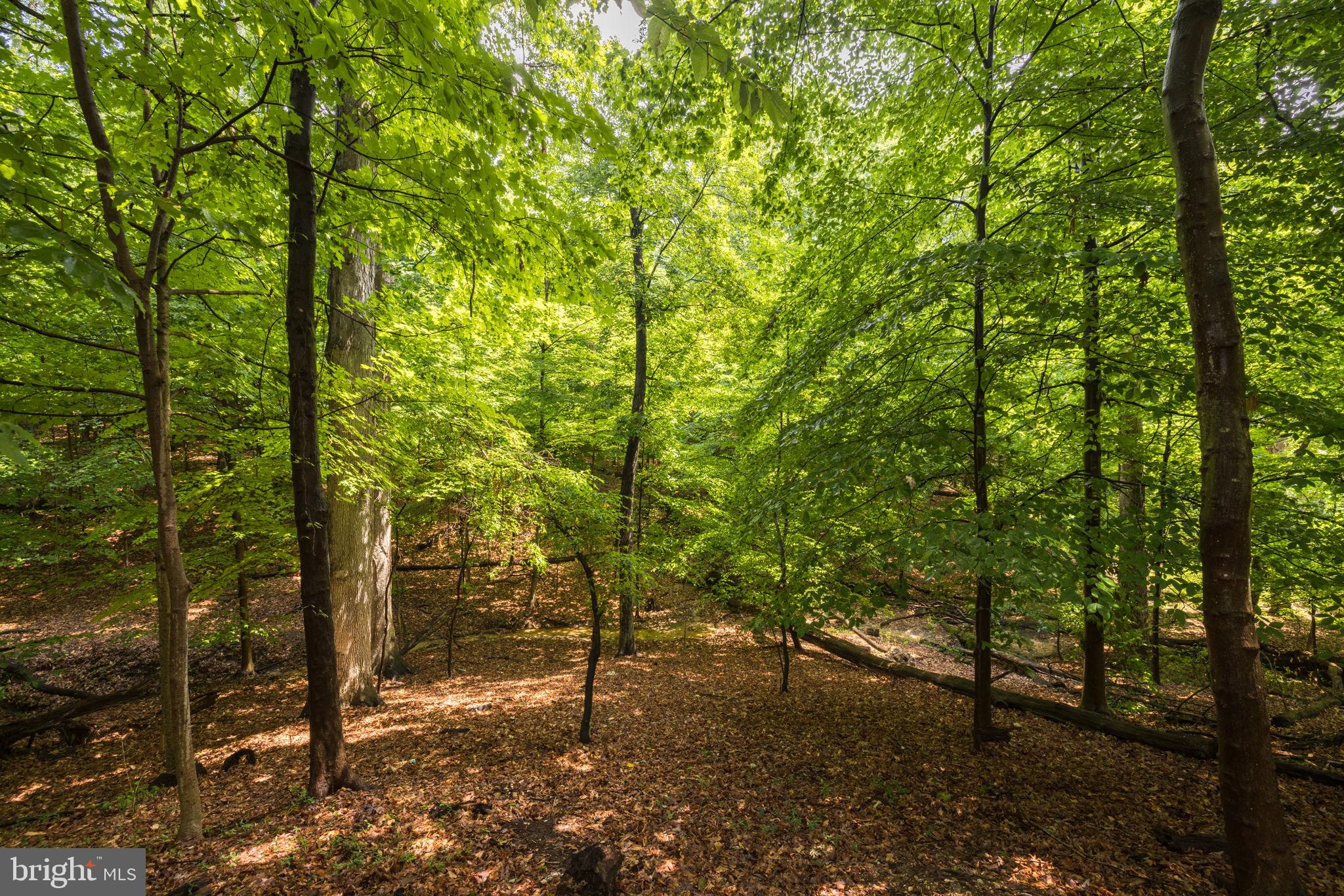 GILBERT'S ADDITION - Residential