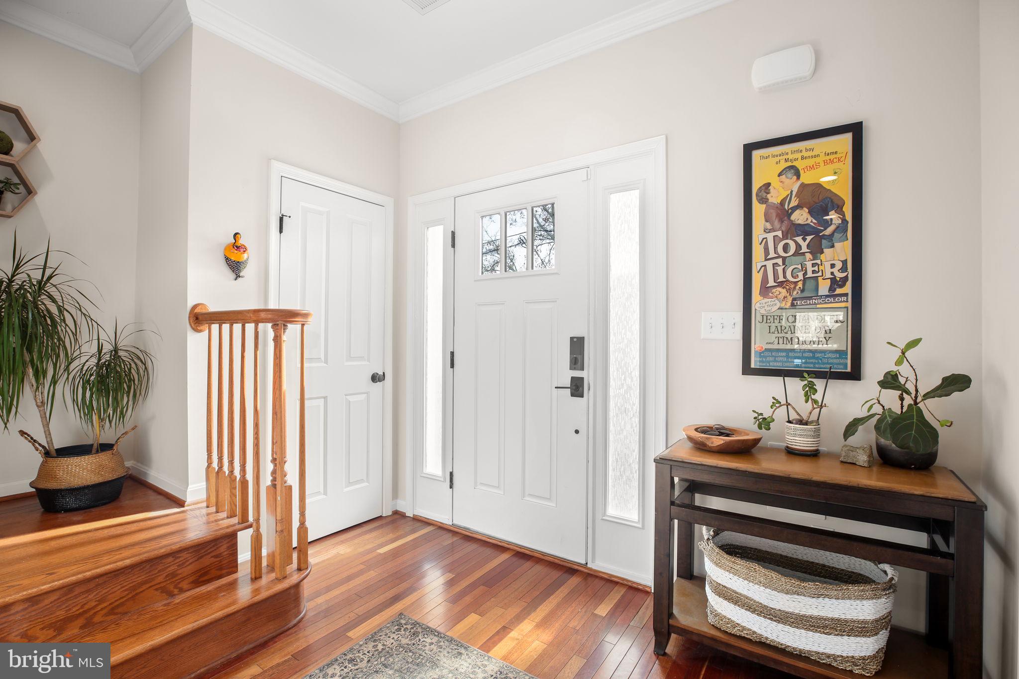 DOWNTOWN FREDERICKSBURG - Residential