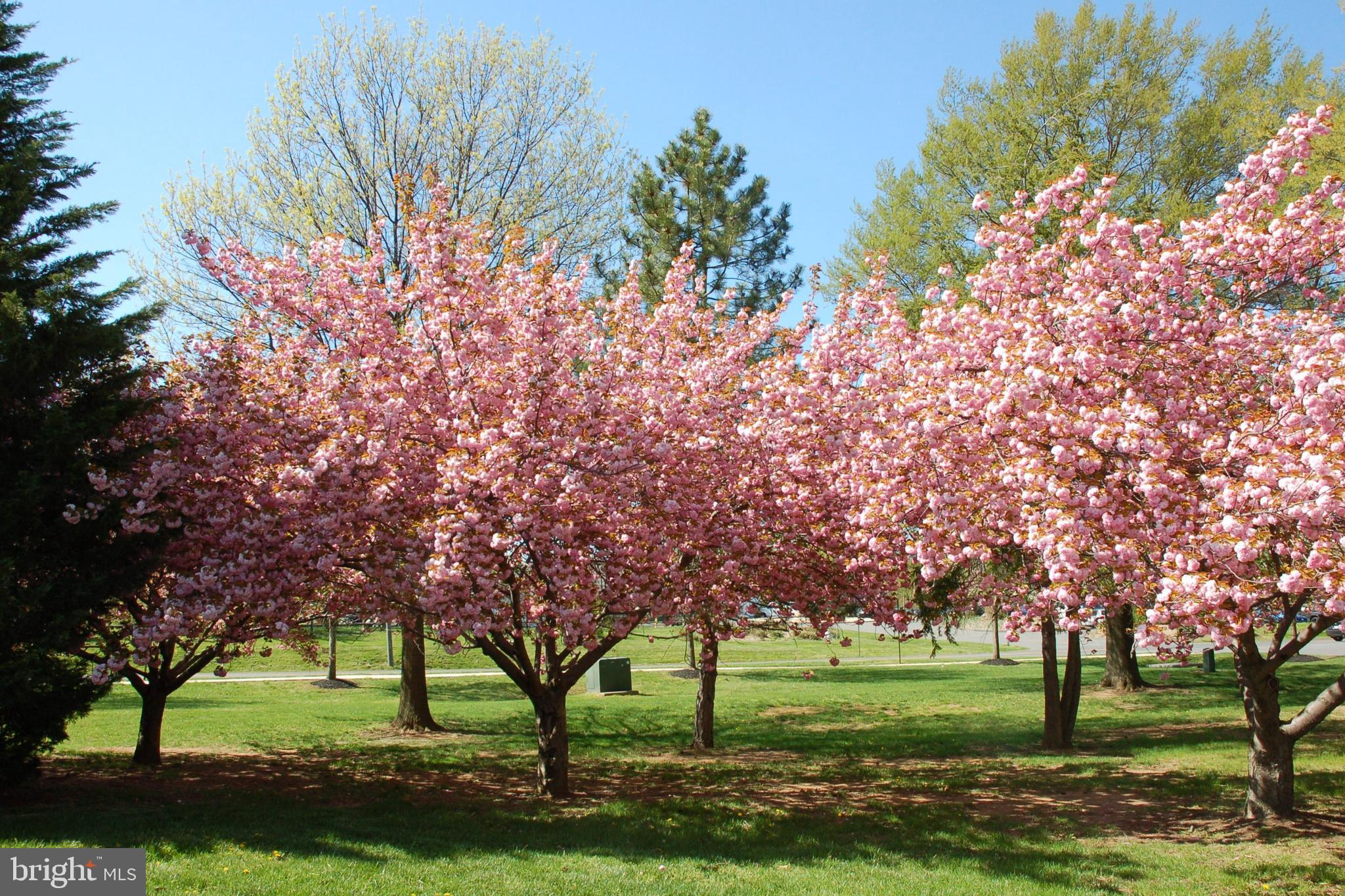 POTOMAC FAIRWAYS - Residential