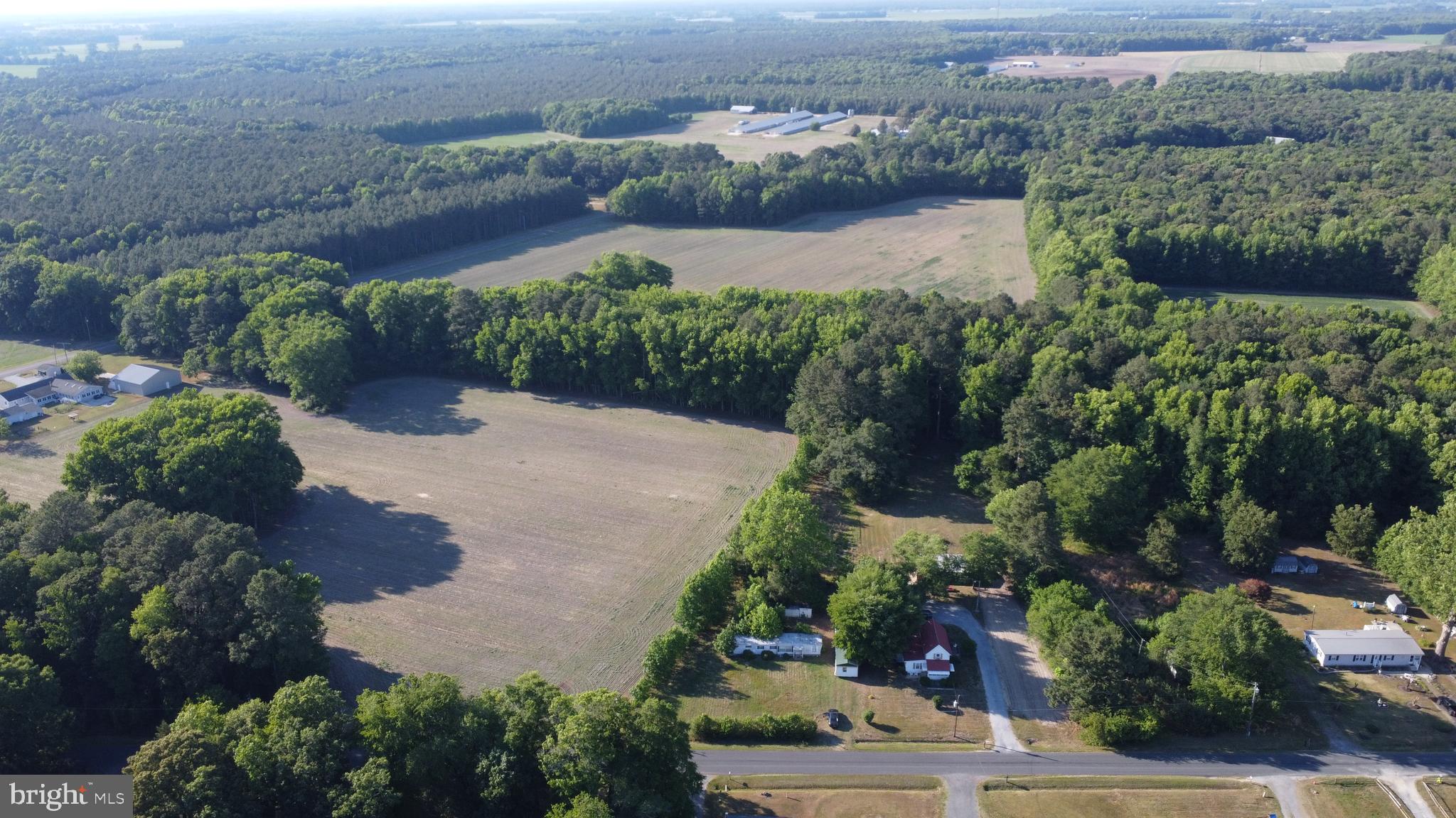 6143 WHITE DEER ROAD