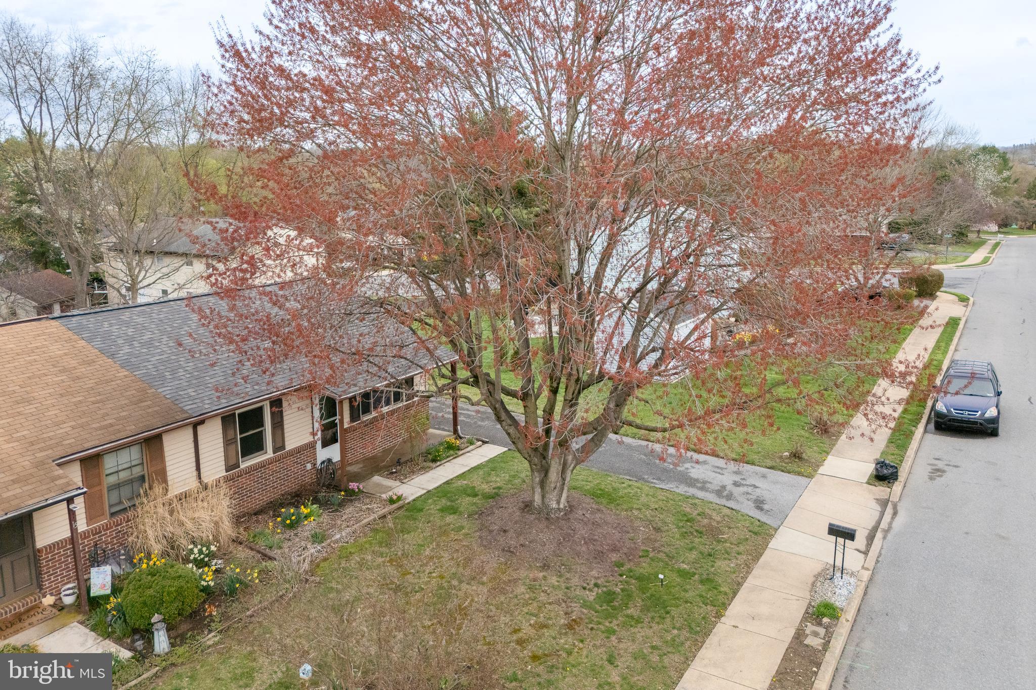 WEDGEWOOD ESTATES - Residential