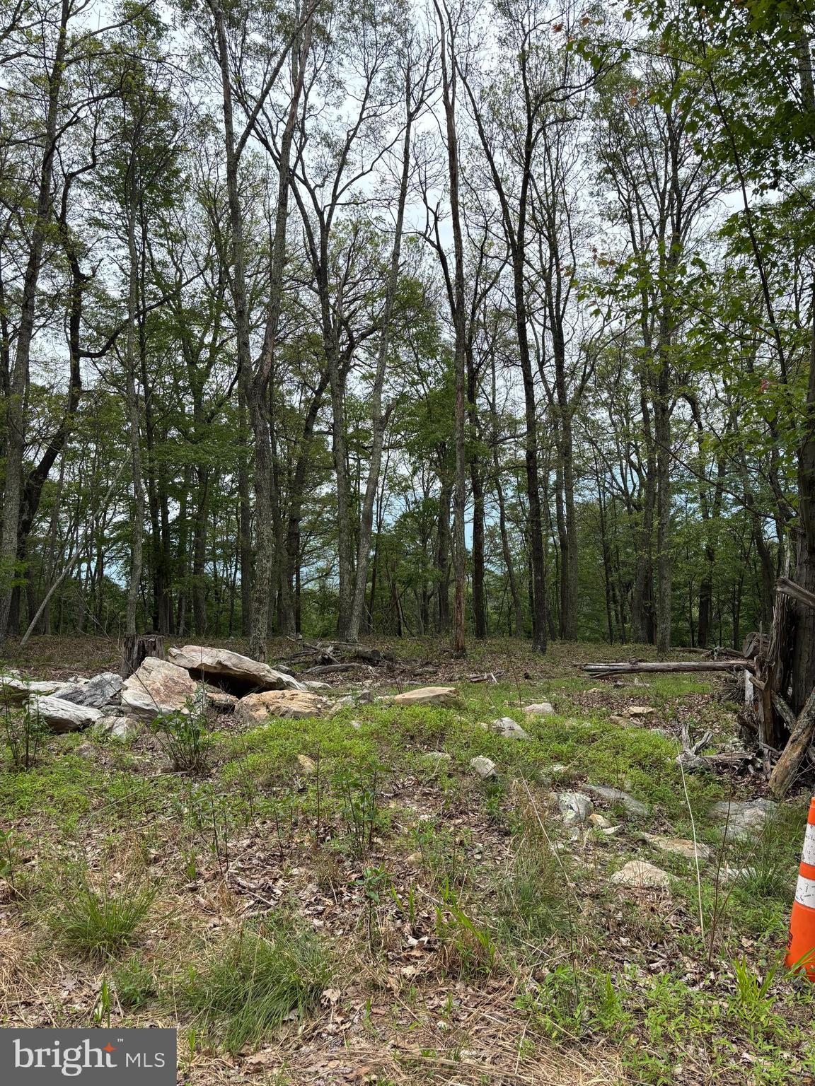 VALLEY HIGH TIMBER FARMS - Land