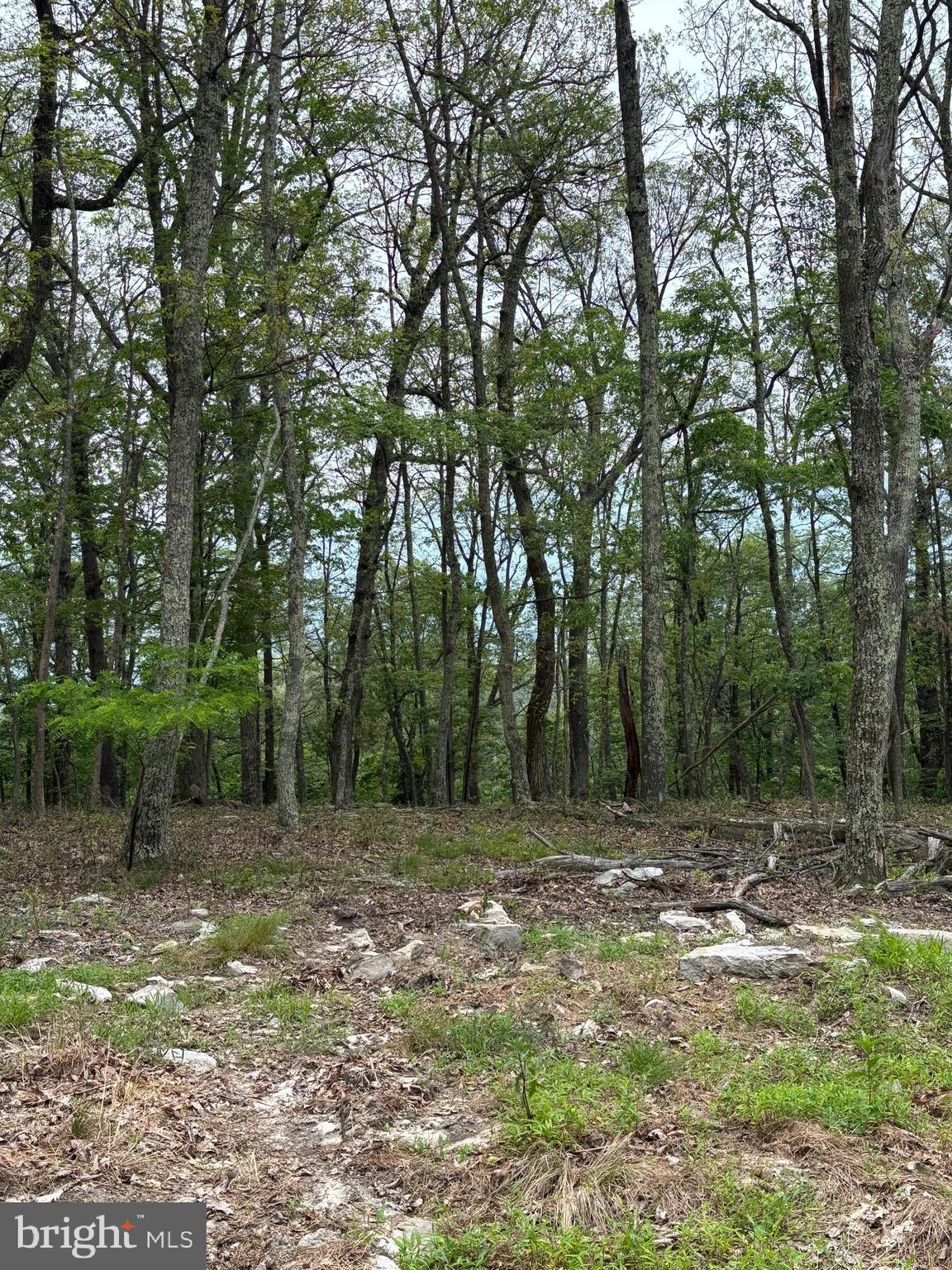 VALLEY HIGH TIMBER FARMS - Land