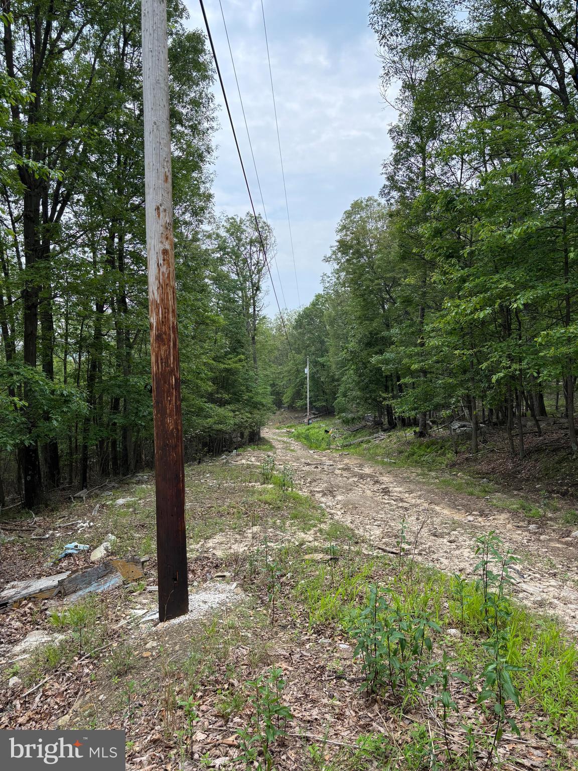 VALLEY HIGH TIMBER FARMS - Land