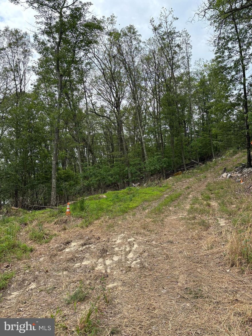 UNRESTRICTED LAND!!! NO RESTRICTIONS......Welcome to the country where you will find peace, quiet and seclusion. Make it your weekend getaway for recreation fun, hunting wildlife or camping under the stars or build a house and it can be your full-time residence. The decision is yours.  500 sq ft or 5000 sq ft, wood, brick or whatever you decide. Driveway installed and a cleared area to get started.. Mountain views a possiblity.....
Seller is in the process of cleaning up the lot...