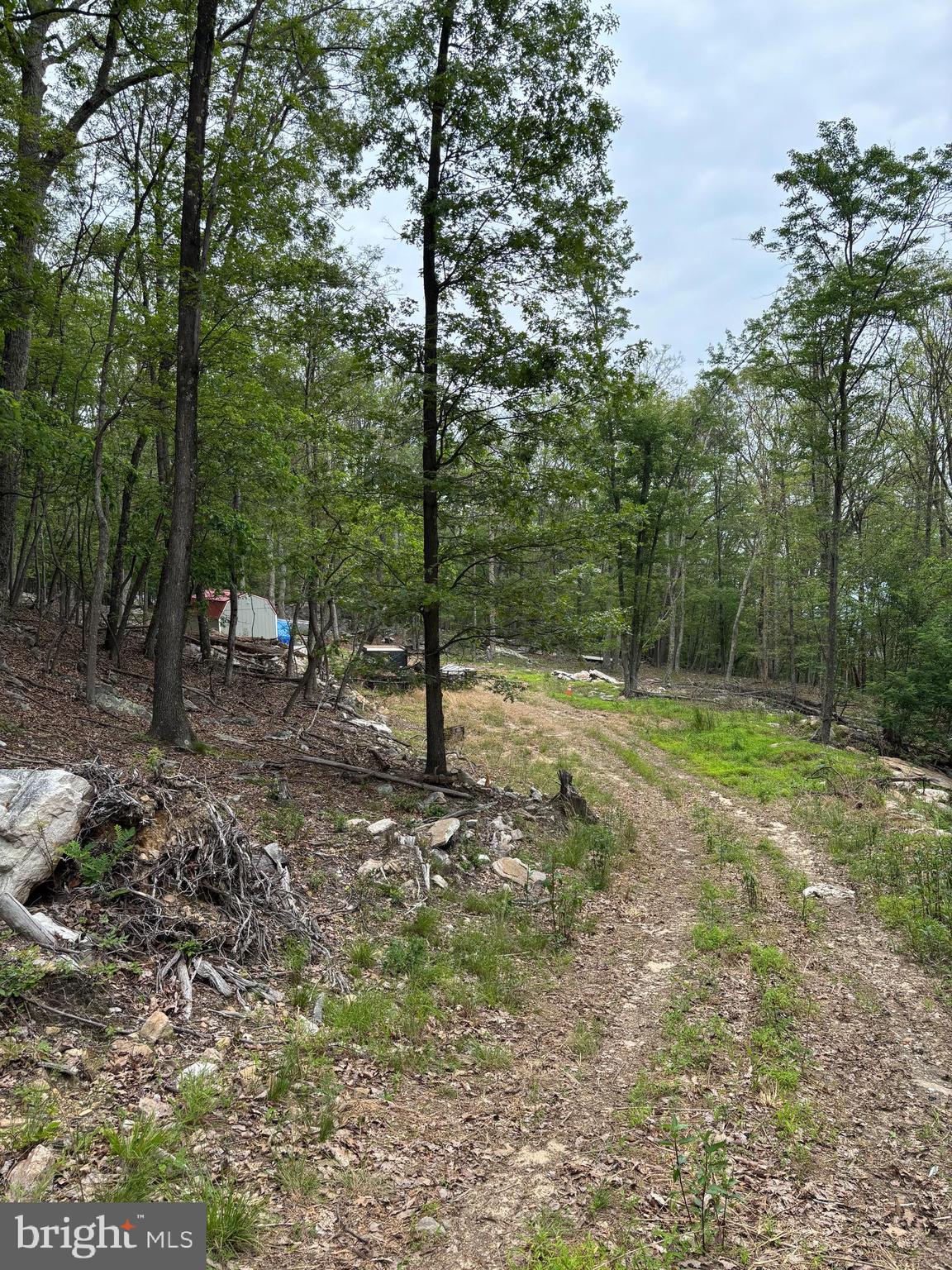 VALLEY HIGH TIMBER FARMS - Land