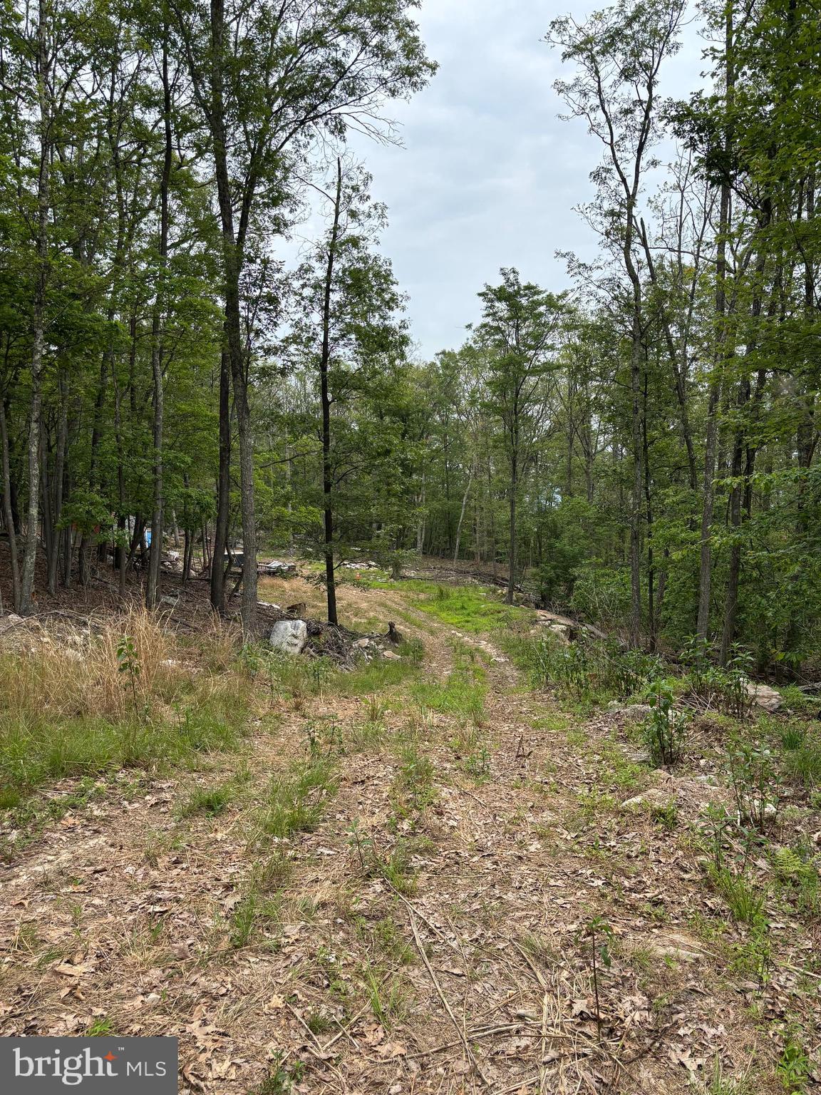 VALLEY HIGH TIMBER FARMS - Land