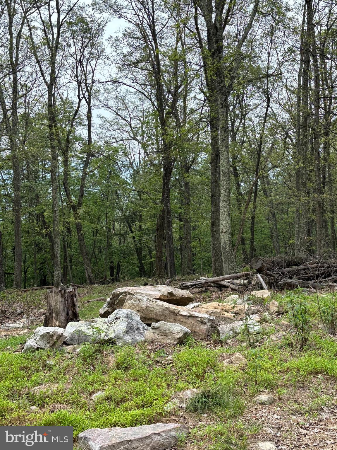 VALLEY HIGH TIMBER FARMS - Land