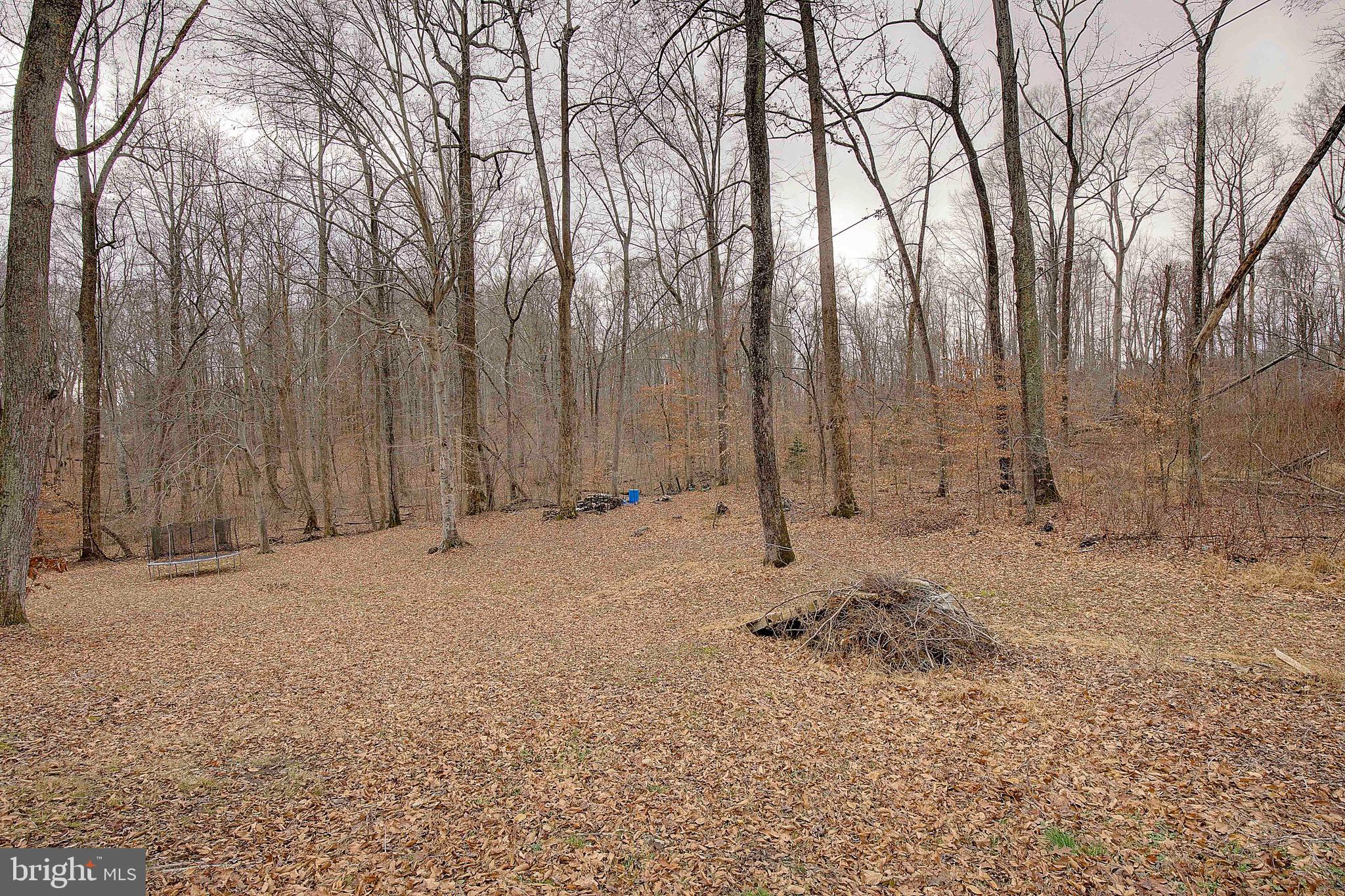 DUNKIRK WOODS - Residential