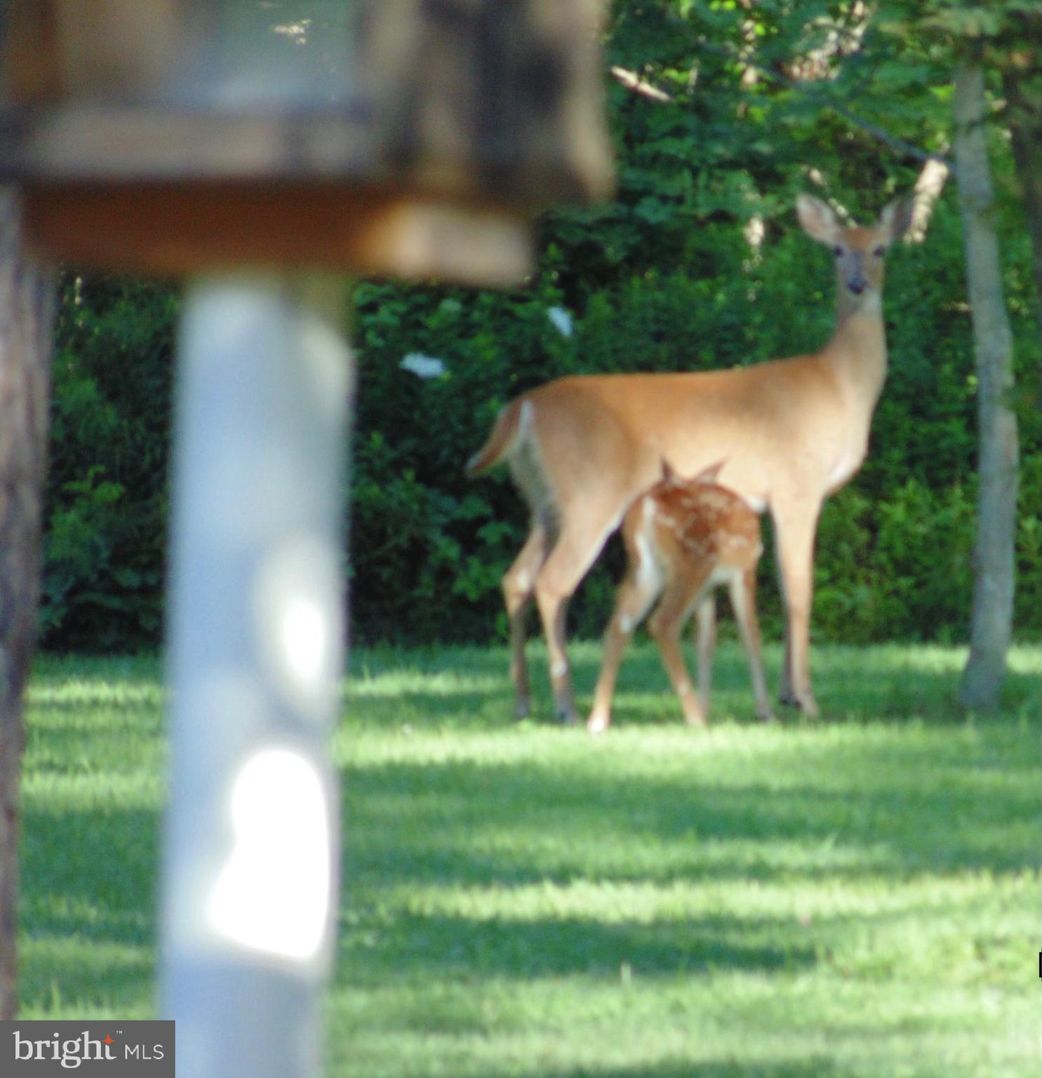 MONTGOMERY TWP - Residential