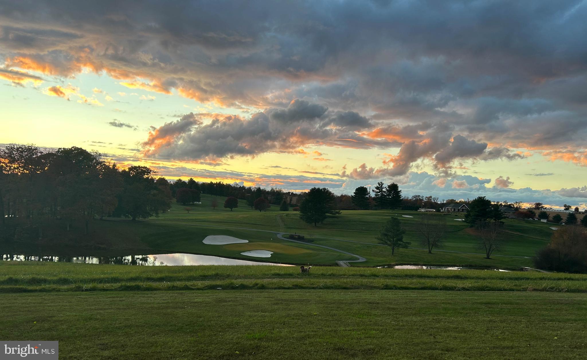 24 THOMAS SHILLING COURT