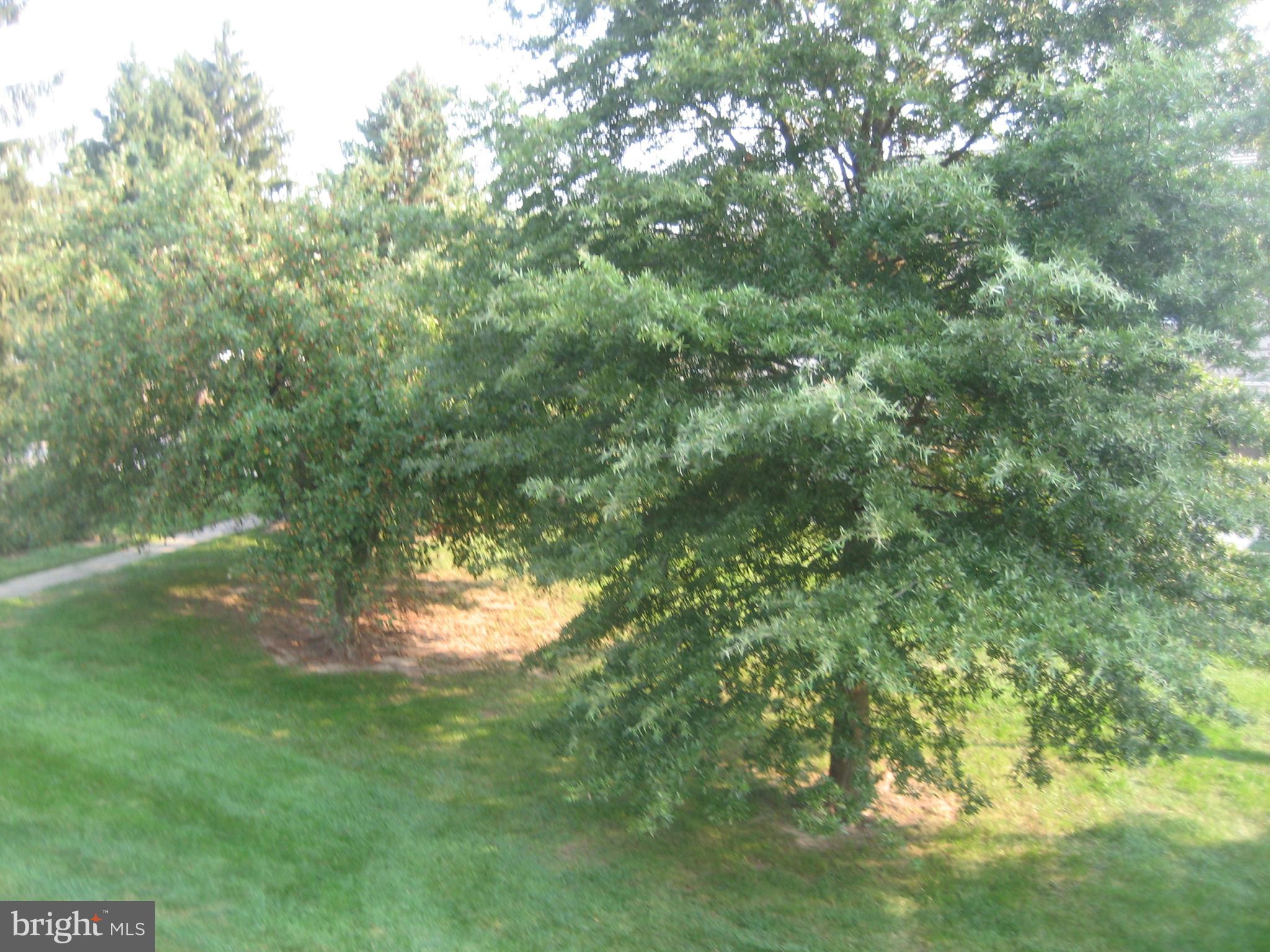 OXFORD OF BLUE BELL - Residential