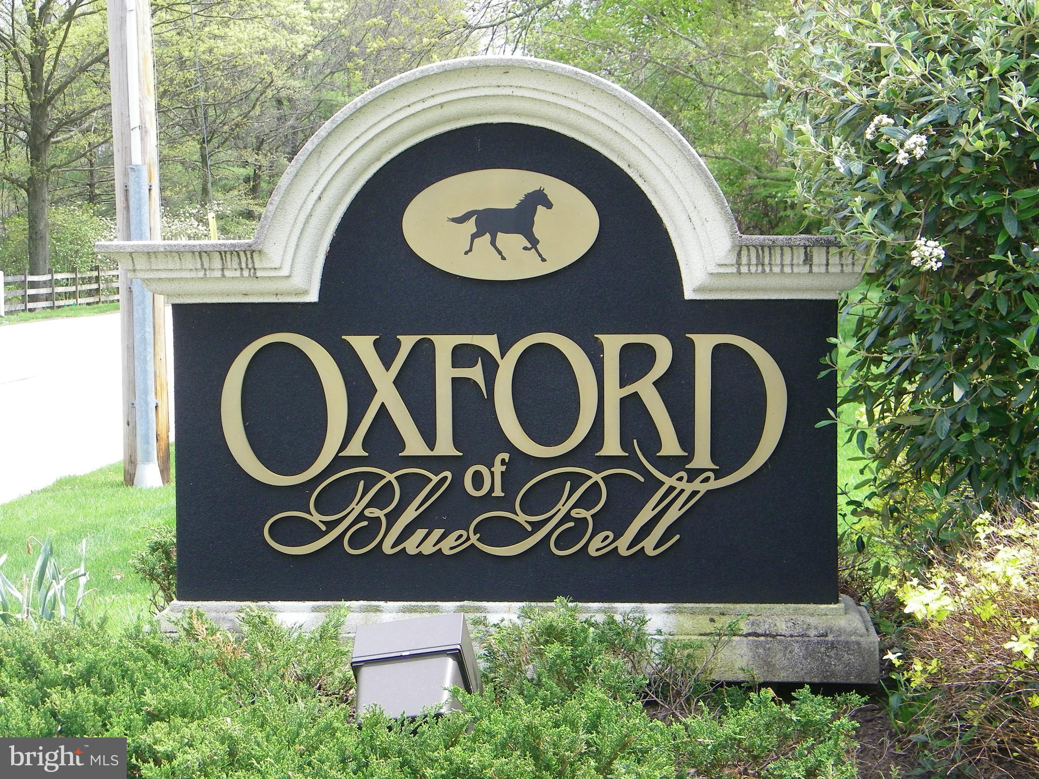 OXFORD OF BLUE BELL - Residential