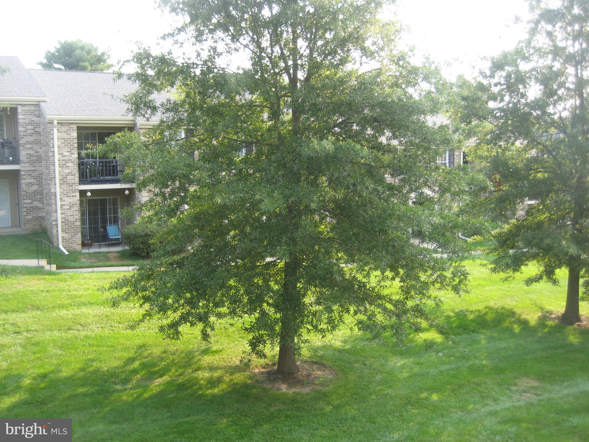 OXFORD OF BLUE BELL - Residential