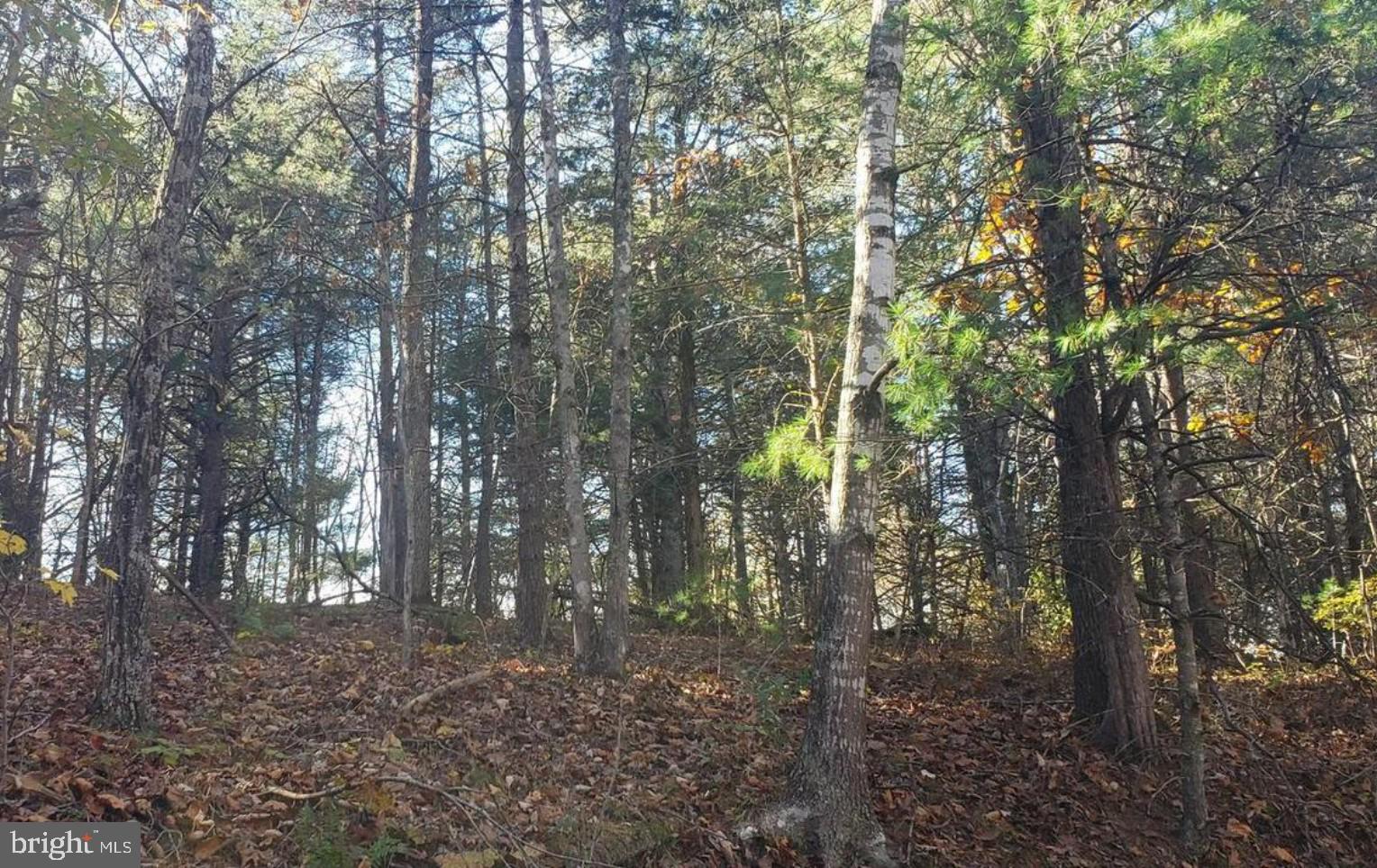 0 FAIRWAY AVENUE LOT 30