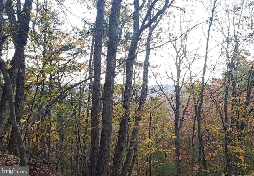 Build your dream getaway or hold as an investment in the heart of the Basye resort. Lot 30 is a .3-acre parcel offering beautiful mountain views and a peaceful setting surrounded by nature. Utilities are available, making future development easy and convenient. There is no obligation to build, allowing you to enjoy the property as-is or develop on your own timeline. Once construction begins, development must be completed within six months.

Lots 30 and 31 are both available and may be purchased together or separately. Combined, the two lots total .872 acres. Located on a gentle curve in the road, each lot enjoys scenic views, while together they offer exceptional panoramic vistas, creating a rare opportunity for a larger homesite or investment property within the resort community.