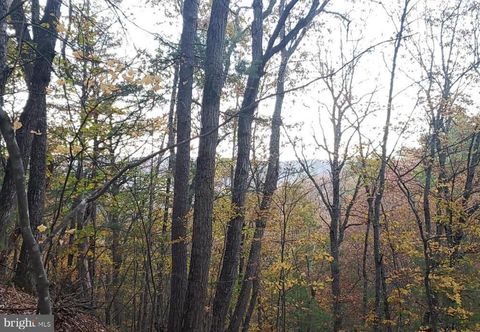 0 FAIRWAY AVENUE LOT 30 BASYE VA 22810