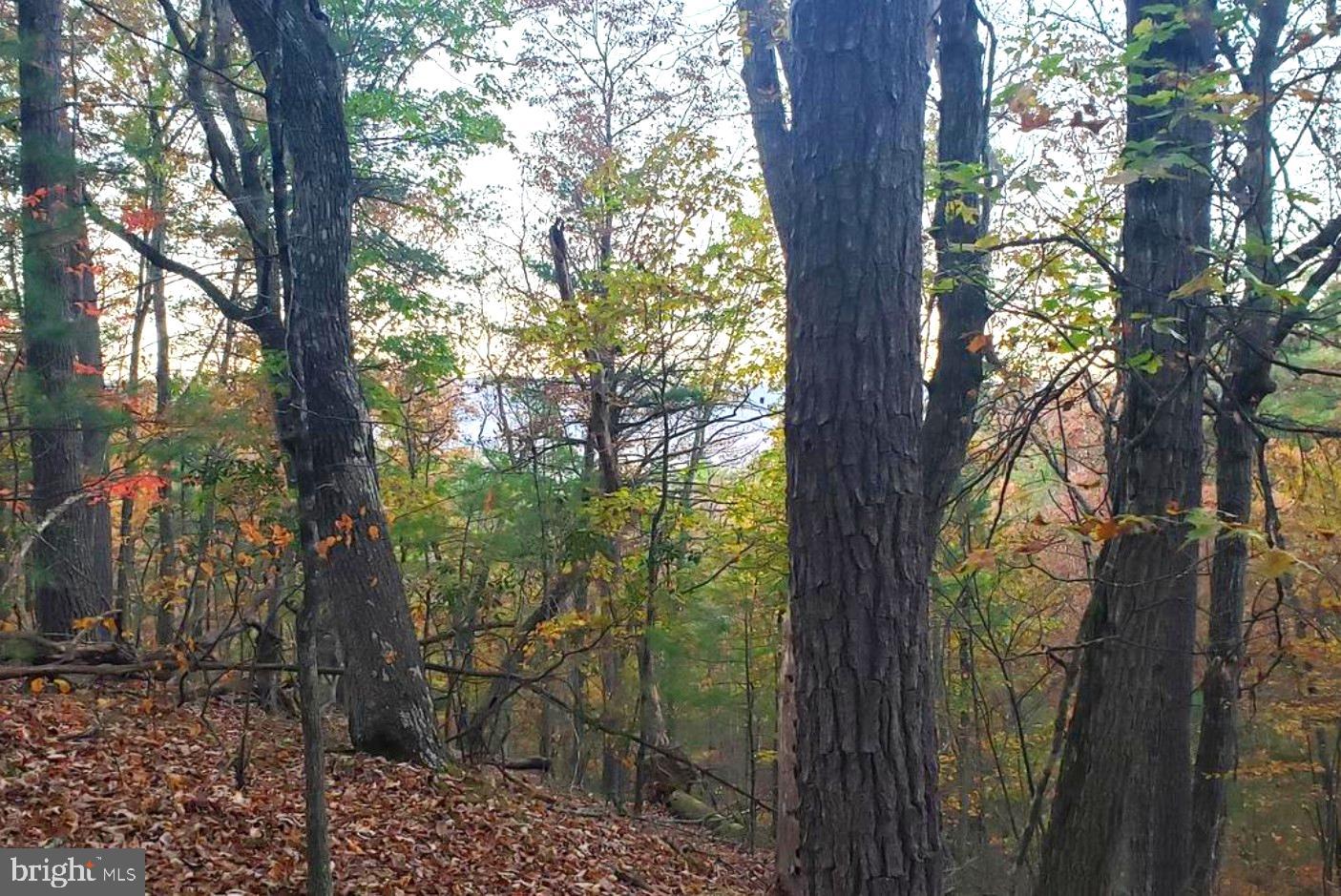 0 FAIRWAY AVENUE LOT 30