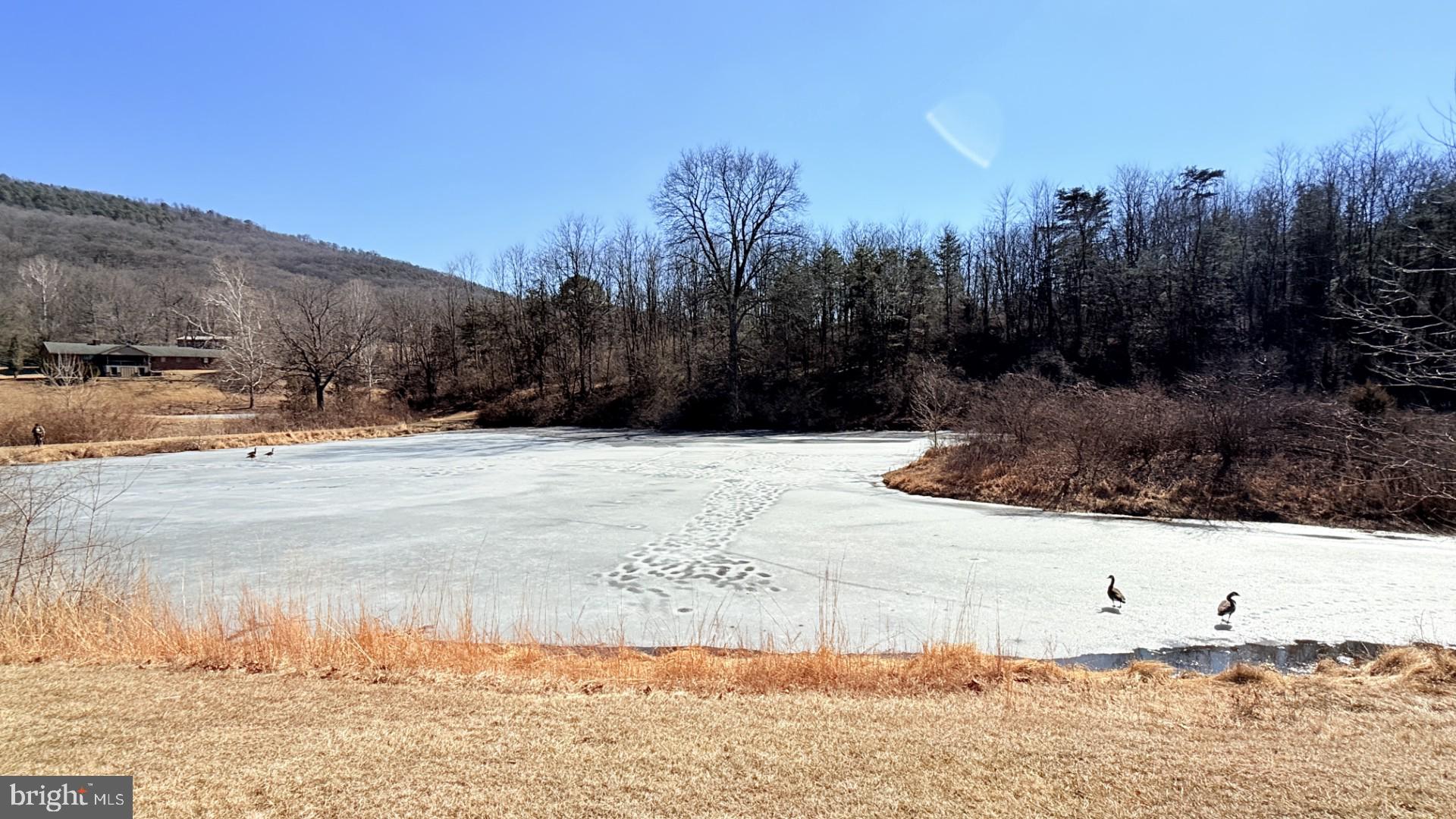 WHITETAIL RESORT COMMUNITY - Residential