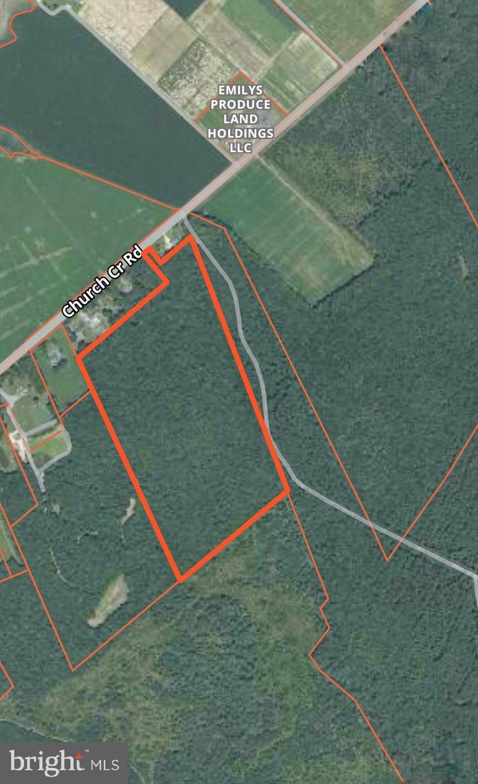 Sika, Whitetail & Turkey CHURCH CREEK RD