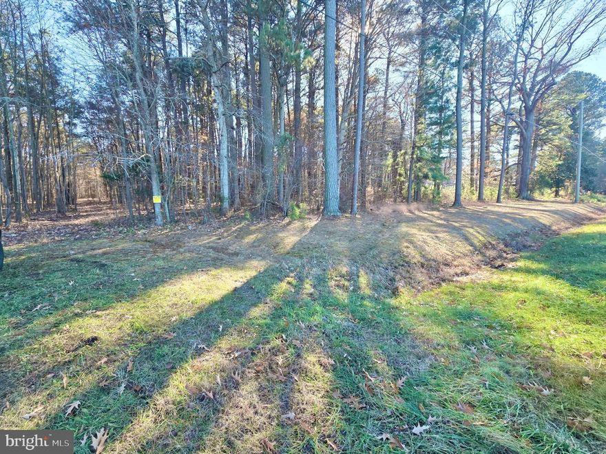 Whether you're after trophy Sika deer, mature whitetails and turkey, this property puts you right in the middle of it all. A rare chance to own a premier Eastern Shore hunting tract with unlimited potential. 47+ wooded acres, backs to large tract of woods. Property boasts mature pines and hardwoods, holly throughout and thick bedding cover. Sika deer, whitetail and turkeys call this property home. Established trails on the property make for easier access. There is a well established turkey population, Church Creek is one of the areas wild turkeys were released. High, dry ground offers an excellent possibility for a homesite, ideal for a private residence or a custom hunting lodge. This property is favorable for an approved perc site, perc test will need to be done. Build your dream home and create your very own private outdoor oasis. Dorchester County has a proven track record of producing trophy hunting. Timber income potential. Talk about the perfect location, here it is! Minutes from the town of Cambridge for shopping, amenities and restaurants. Located just past Emily's Produce on the left. For the outdoorsman this is a premier opportunity for hunters and nature enthusiasts alike. Photos are recent Fall/Winter 2025