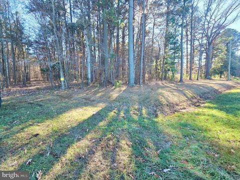 Sika, Whitetail & Turkey CHURCH CREEK RD CAMBRIDGE MD 21613