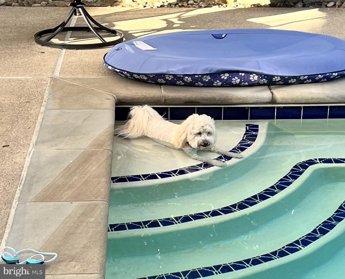 RESERVE AT HUNTERS RIDGE - Residential