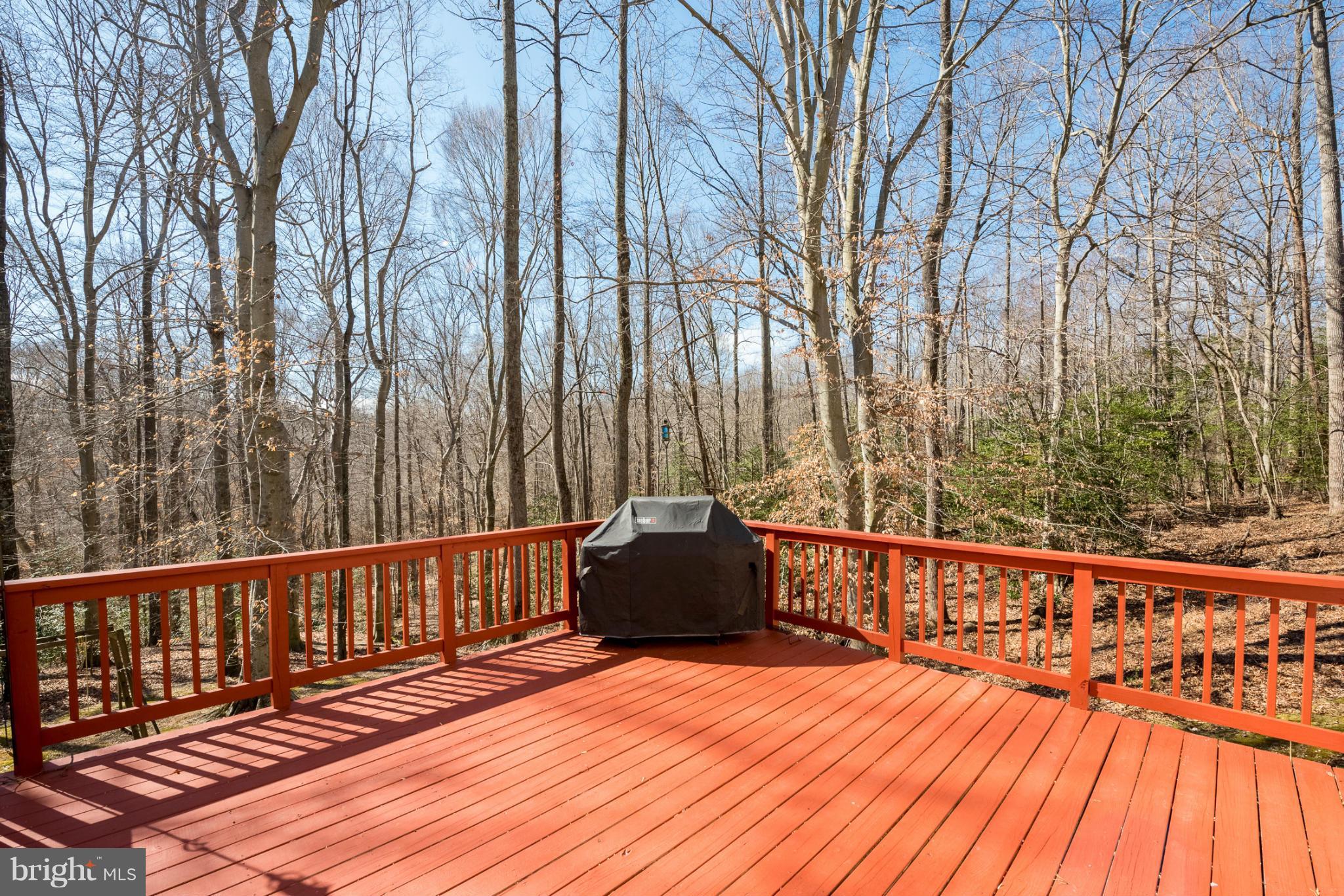 CARRIAGE CROSSING - Residential