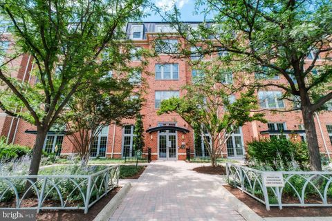 1391 PENNSYLVANIA AVENUE SE 247 WASHINGTON DC 20003