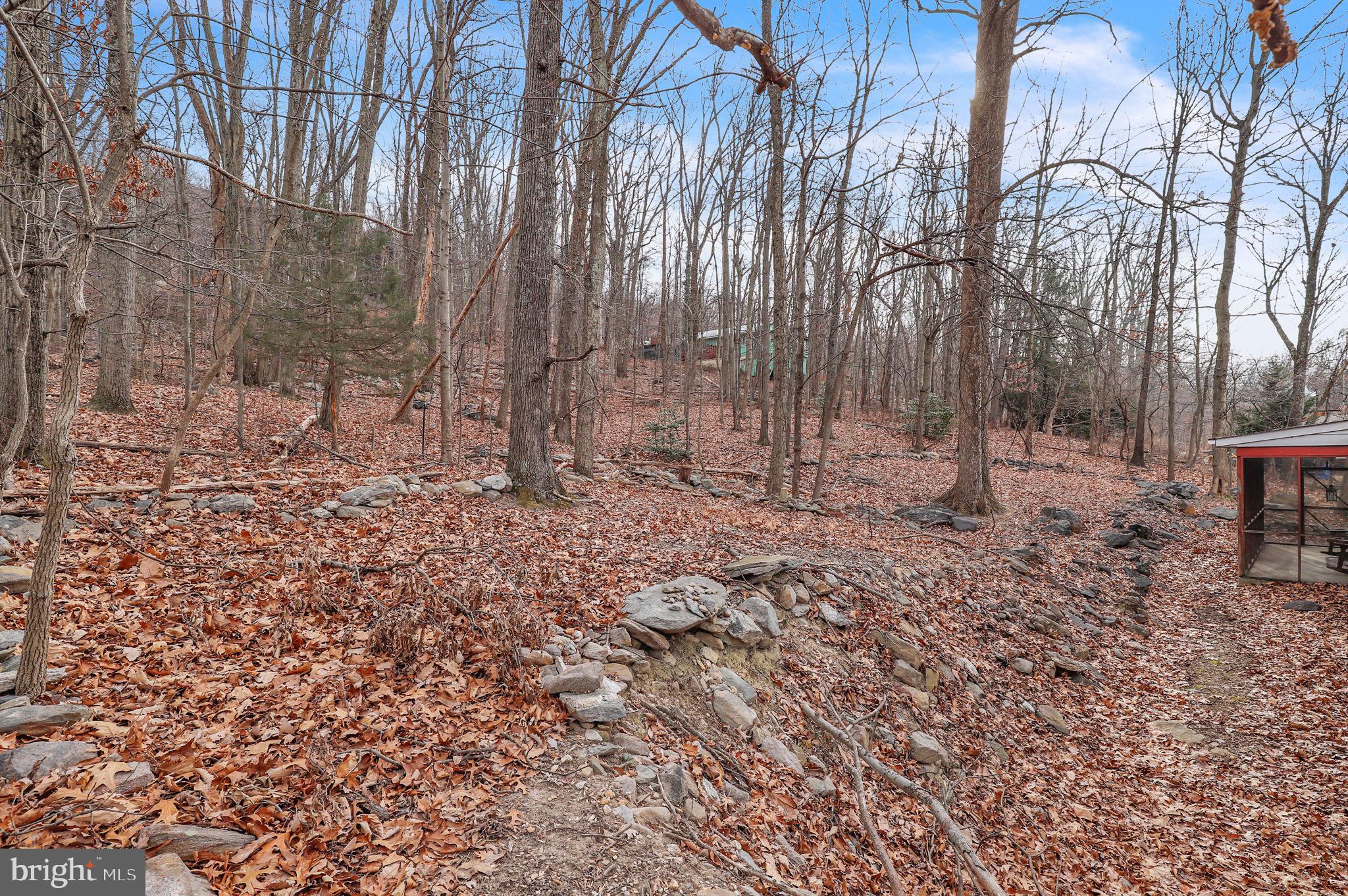 SHANNONDALE - Residential