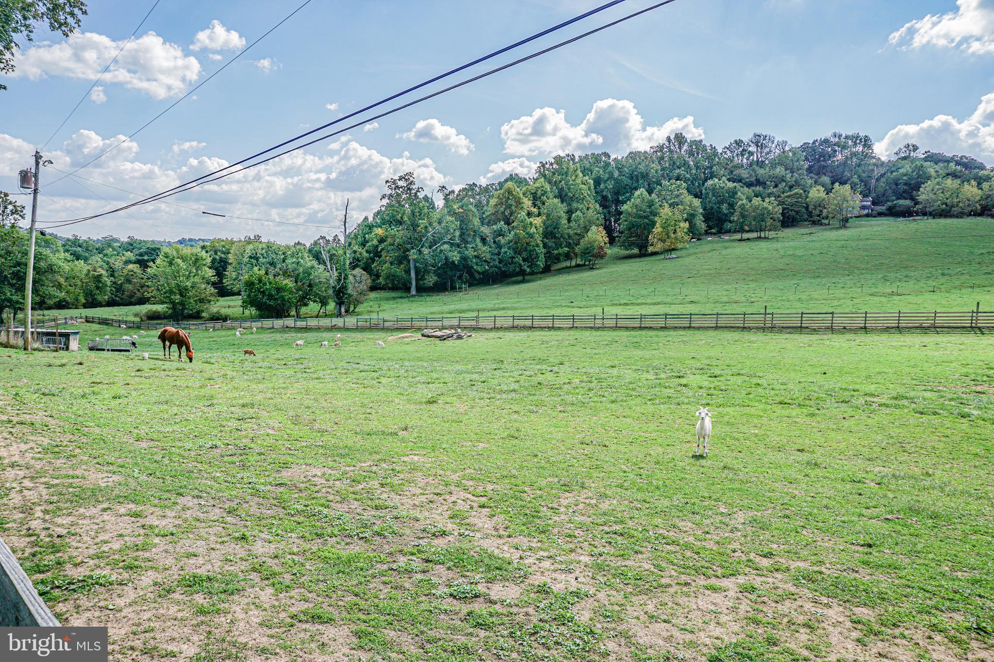 NONE AVAILABLE - Farm