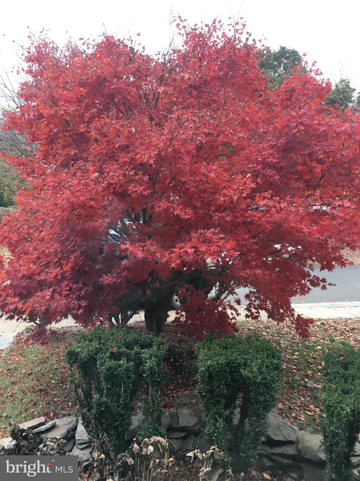 SUNNYSIDE - Residential