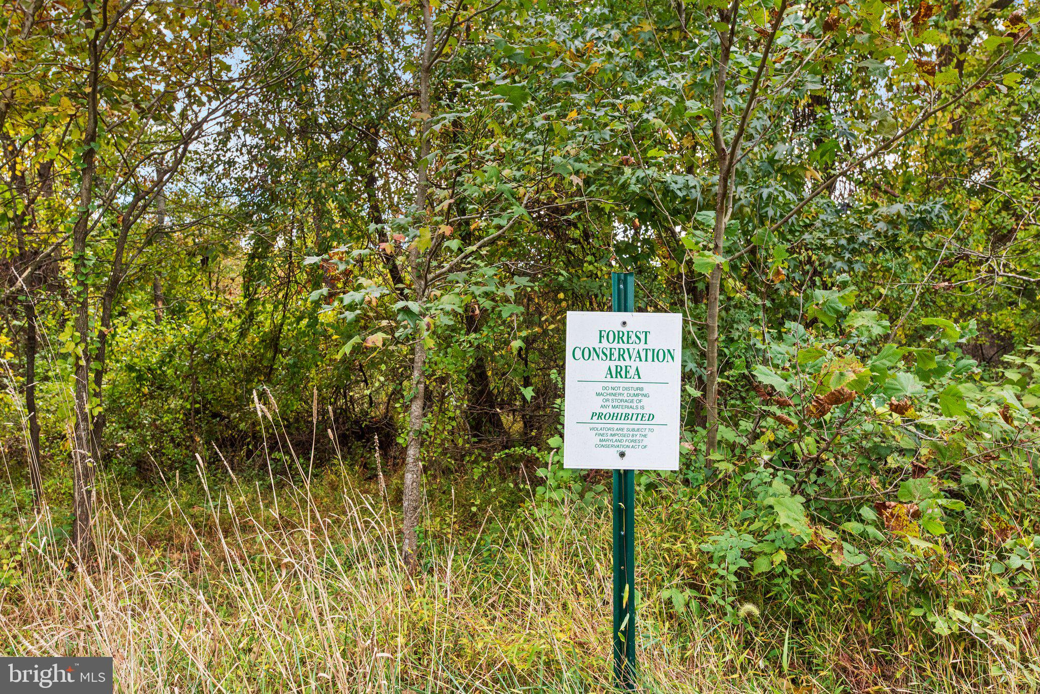 SHIPLEYS GRANT - Residential