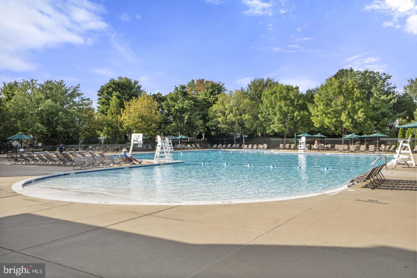 PIEDMONT - Residential Lease