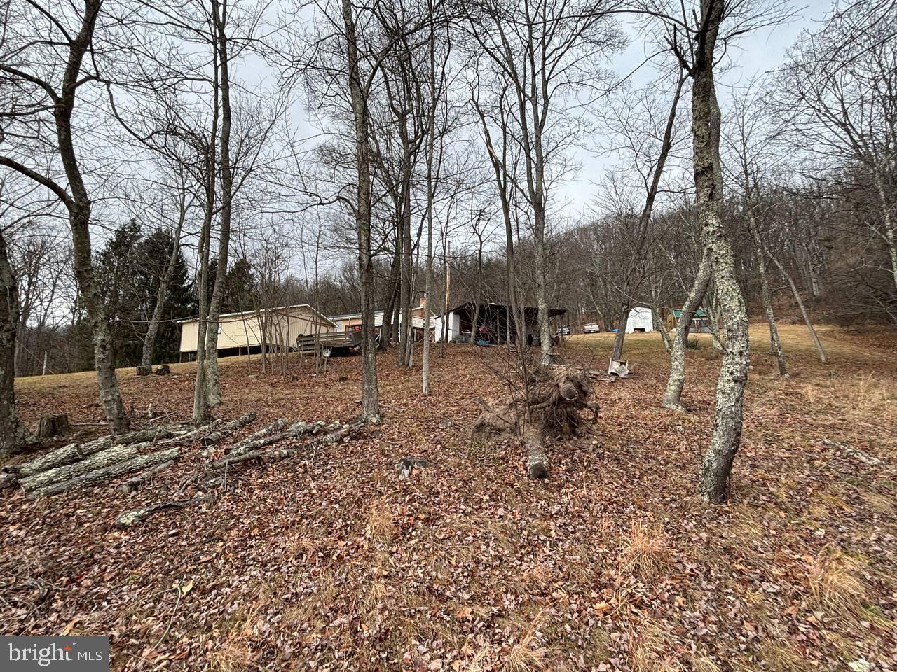 BRANCH MOUNTAIN - Residential