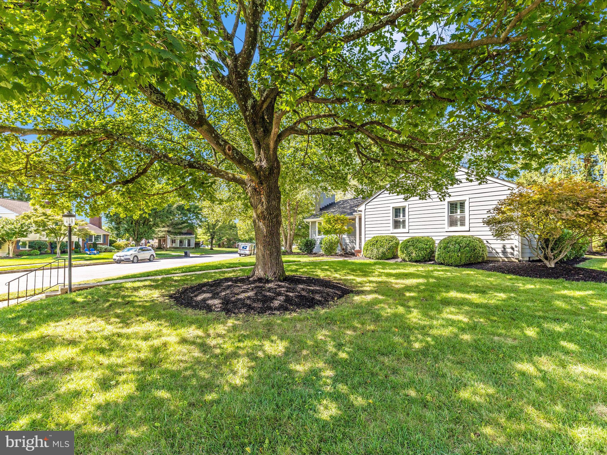 THORNLEIGH - Residential