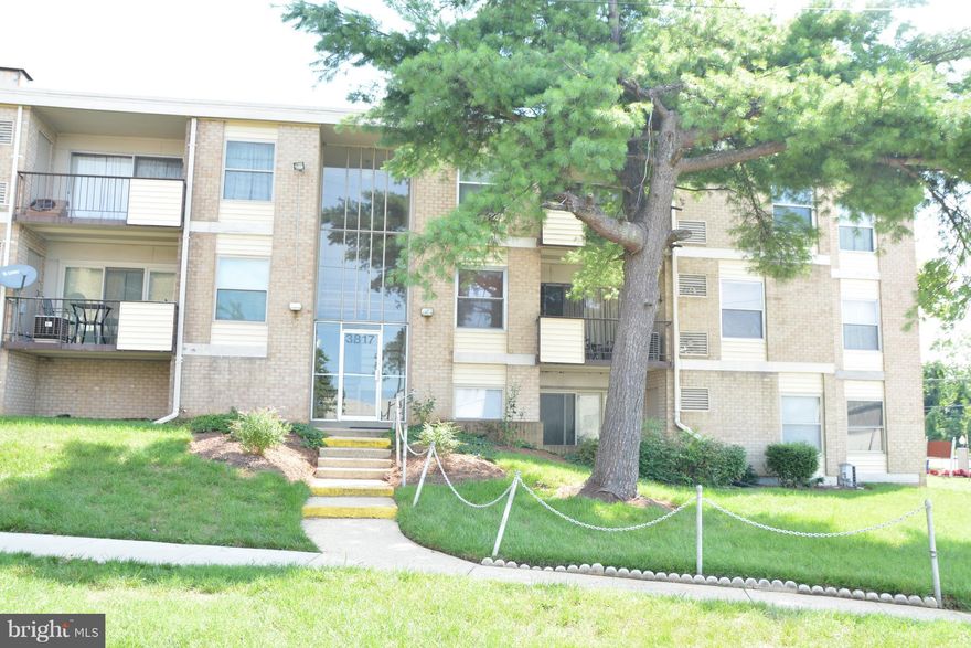 Look No More! Great opportunity for first time homebuyer or investor! NEW Carpet, FRESHLY Painted, STAINLESS STEEL Appliances, WALK-IN Closets, SEPARATE DINING Area and TONS of Space! Walking distance to shopping and restaurants! Home Sold As-Is BUT completely MOVE-IN READY! CASH preferred or conventional. Condo fee covers everything except electric!