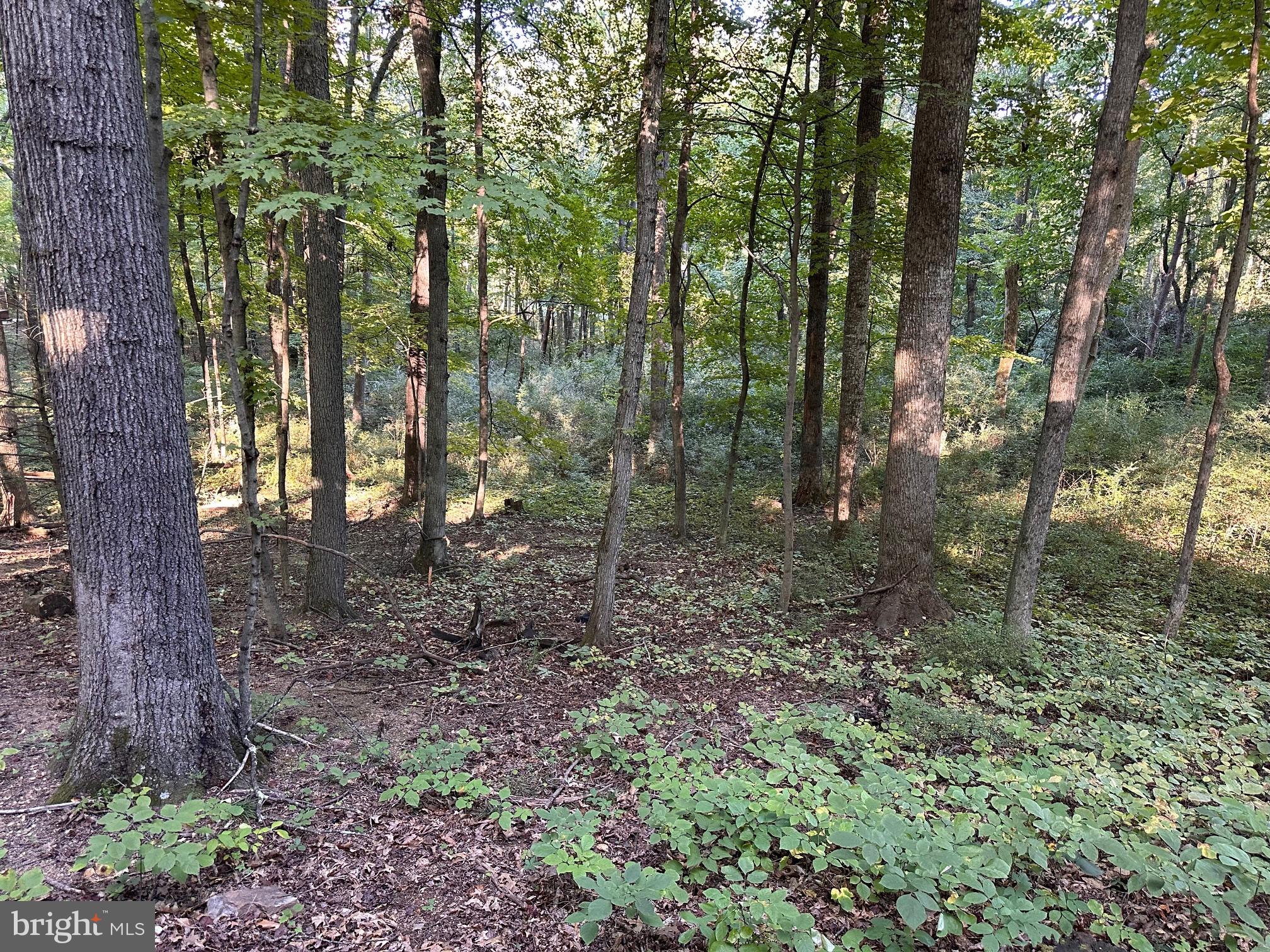 COOLFONT MOUNTAINSIDE - Residential