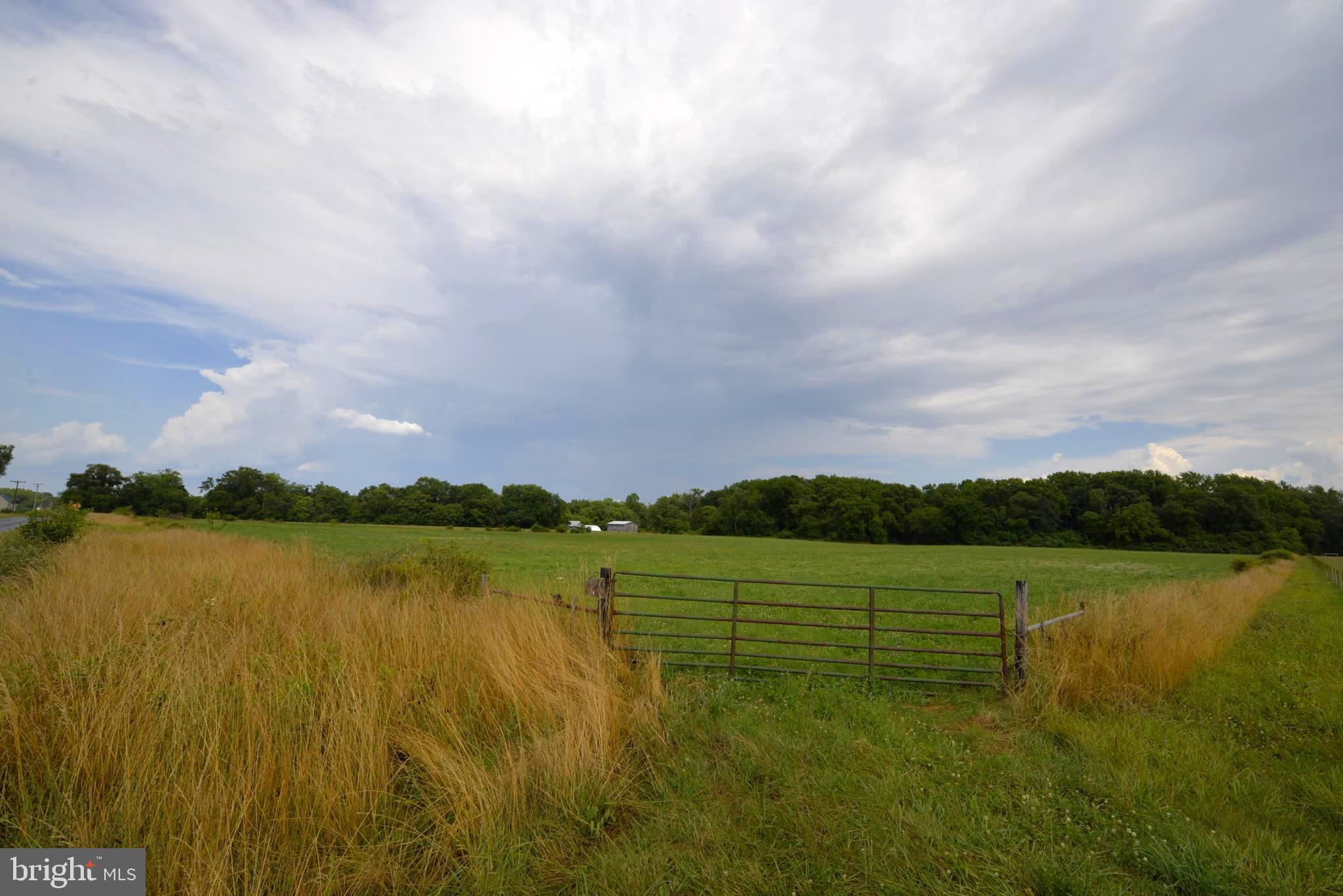 NONE AVAILABLE - Farm